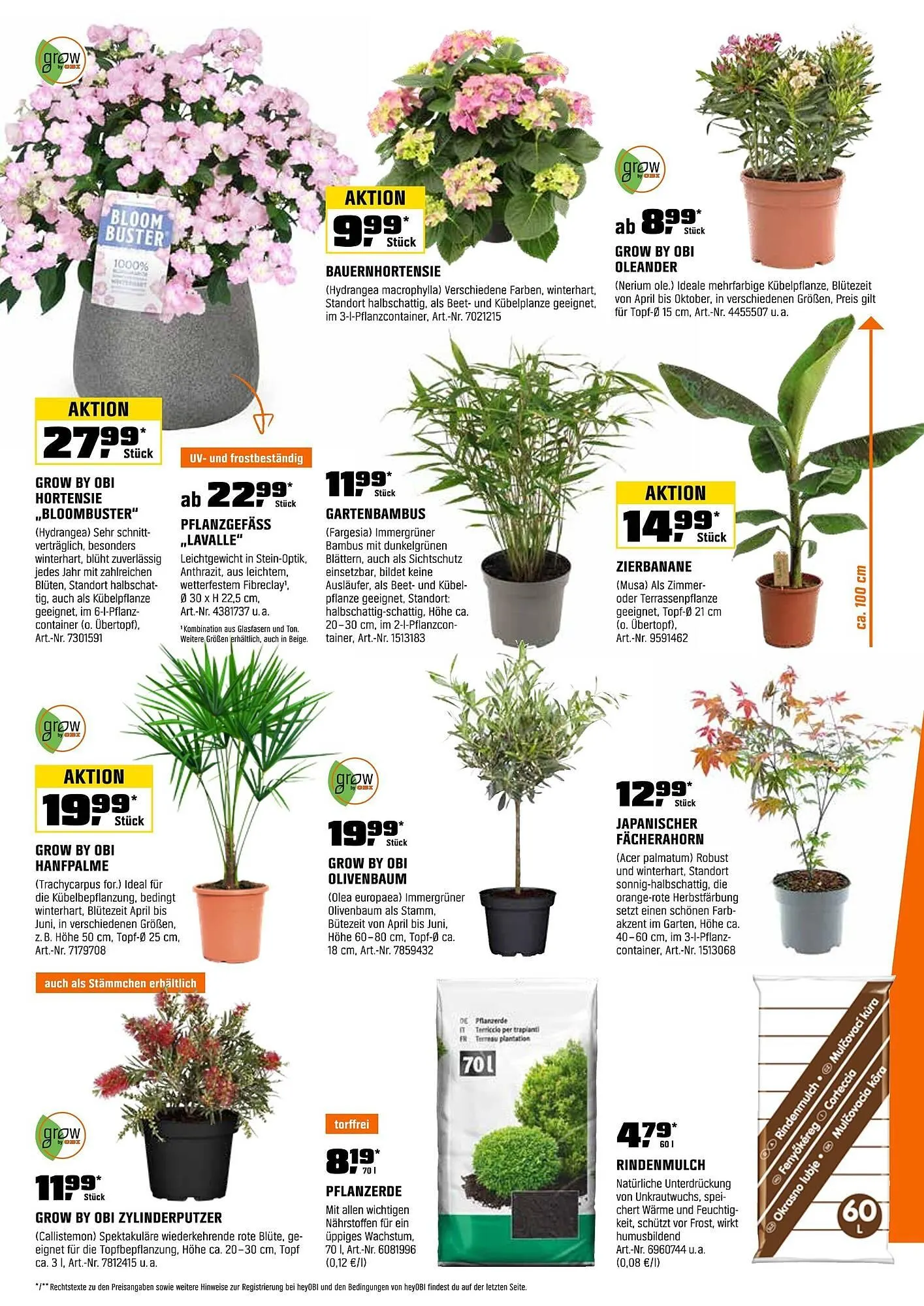 OBI Prospekt von 16. Mai bis 31. Mai 2025 - Prospekt seite 12