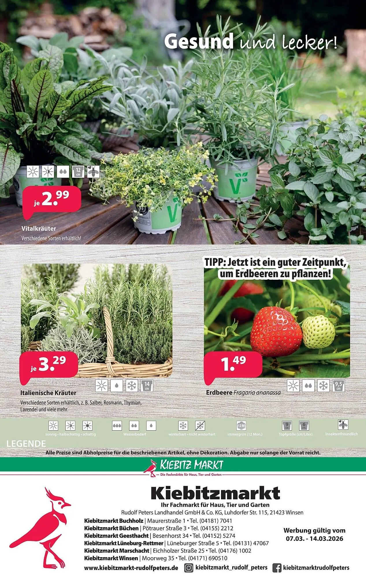 Kiebitzmarkt Prospekt von 7. März bis 14. März 2026 - Prospekt seite 12