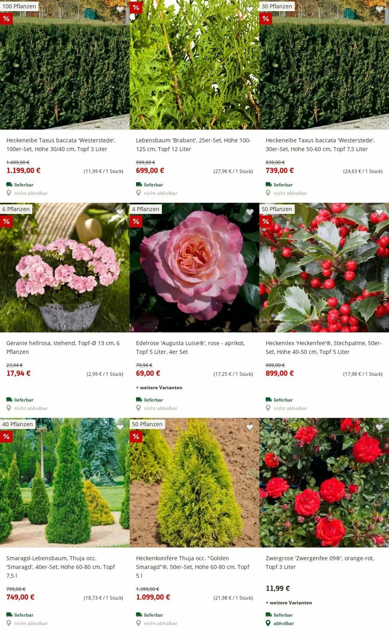 Pflanzen-Kölle Aktueller Prospekt von 30. Juni bis 9. Juli 2025 - Prospekt seite 72