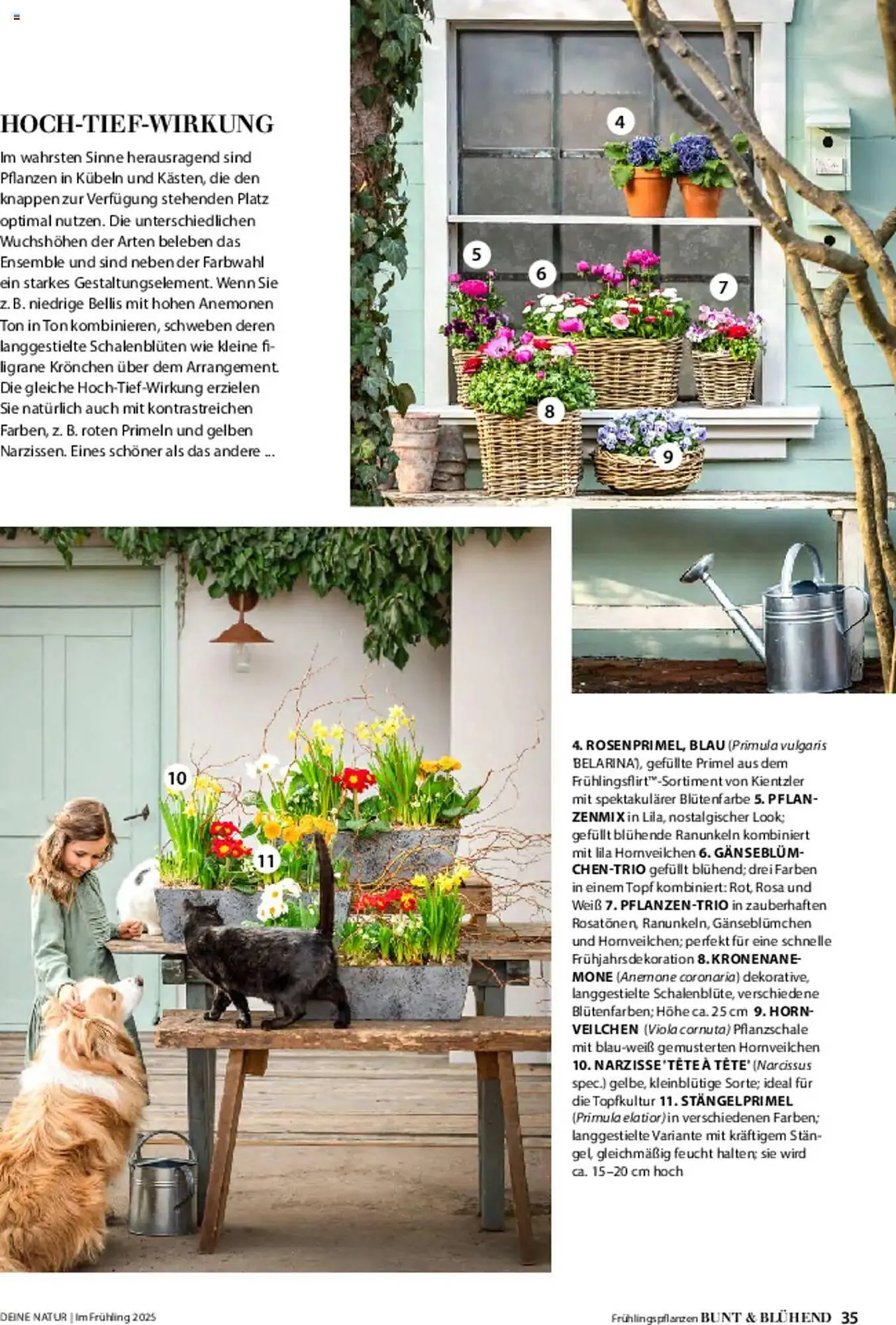 Dehner Prospekt von 6. März bis 9. Juni 2025 - Prospekt seite 35