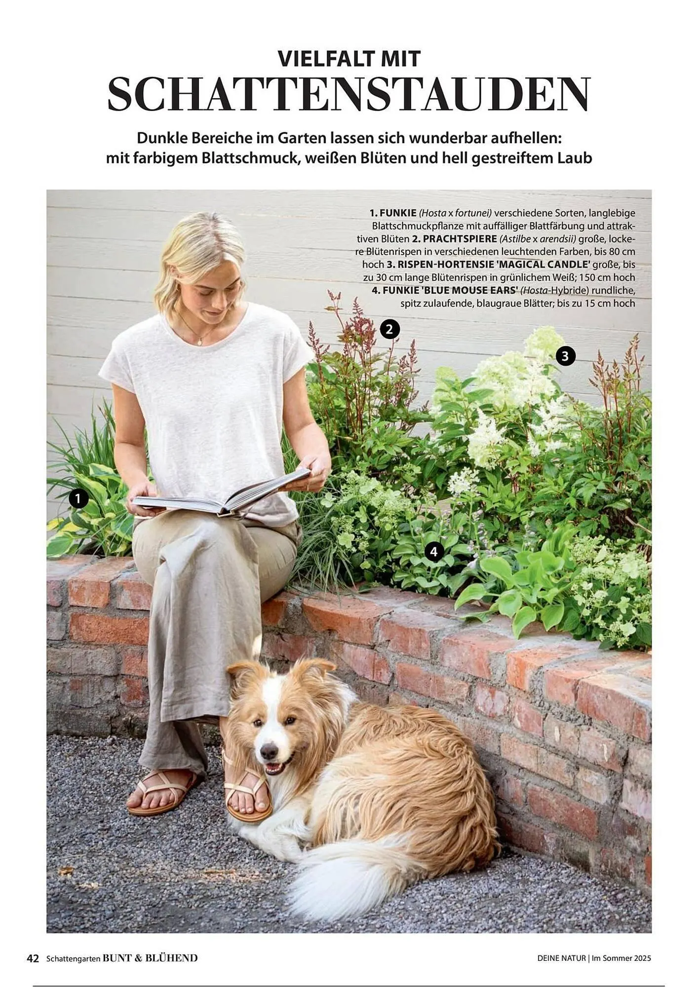 Dehner Prospekt von 1. Juli bis 31. Dezember 2025 - Prospekt seite 42