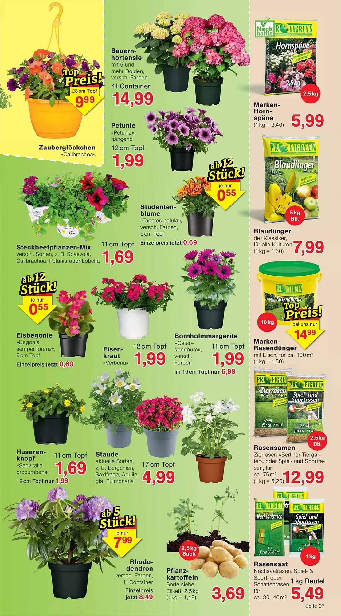 Wiglo Wunderland Prospekt von 13. April bis 18. April 2026 - Prospekt seite 11