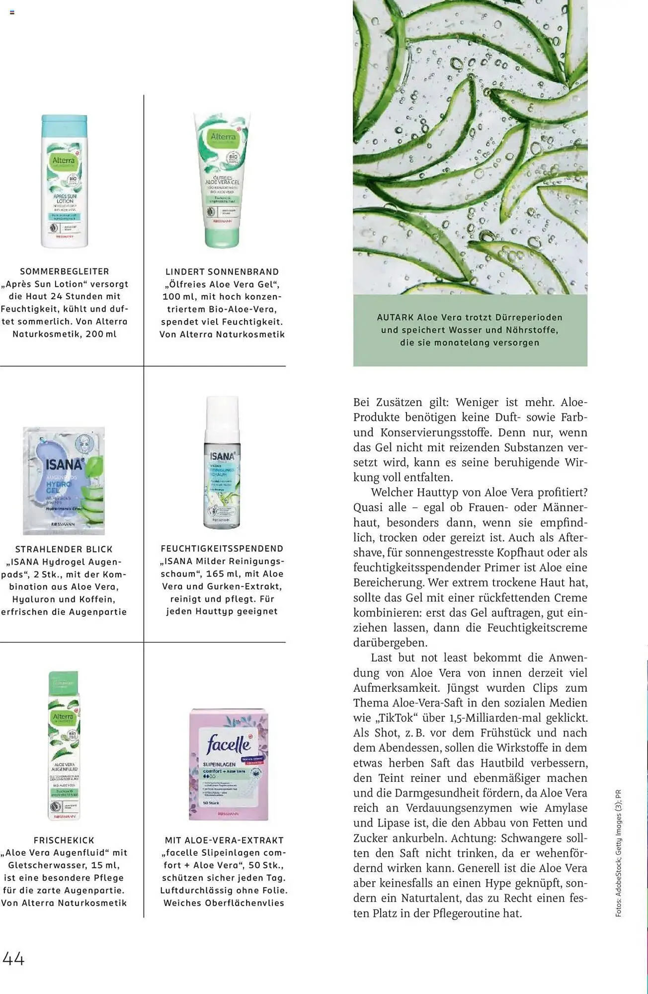 Rossmann Prospekt von 1. August bis 31. August 2025 - Prospekt seite 44