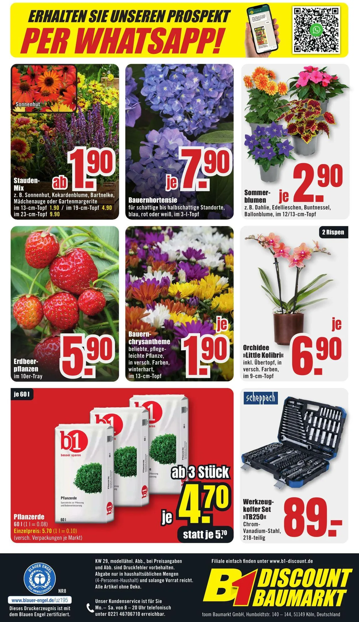 B1 Discount Baumarkt von 12. Juli bis 18. Juli 2025 - Prospekt seite 8