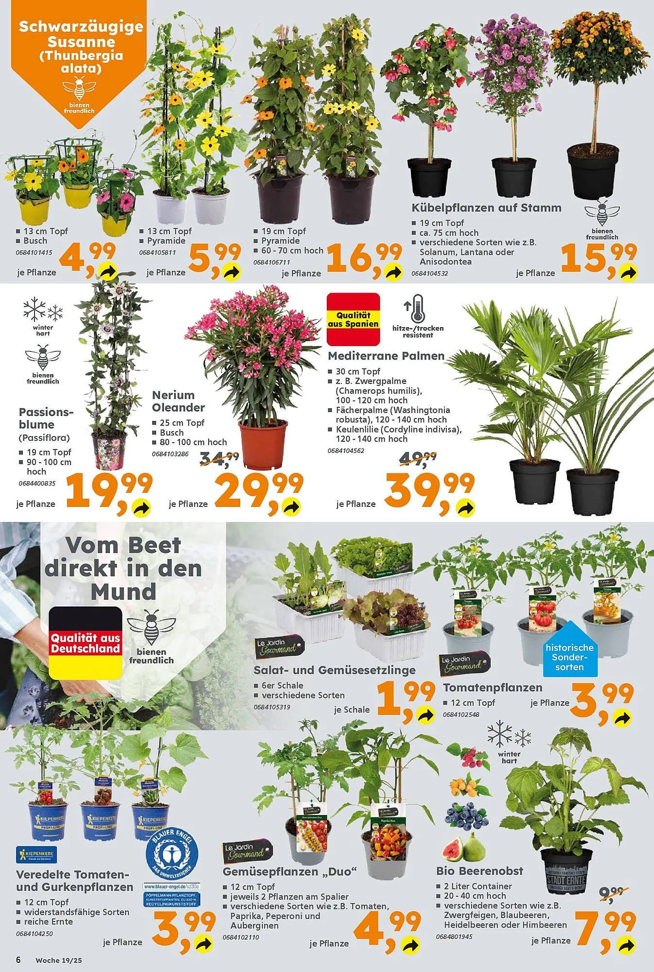 Globus Baumarkt Prospekt von 4. Mai bis 10. Mai 2025 - Prospekt seite 6