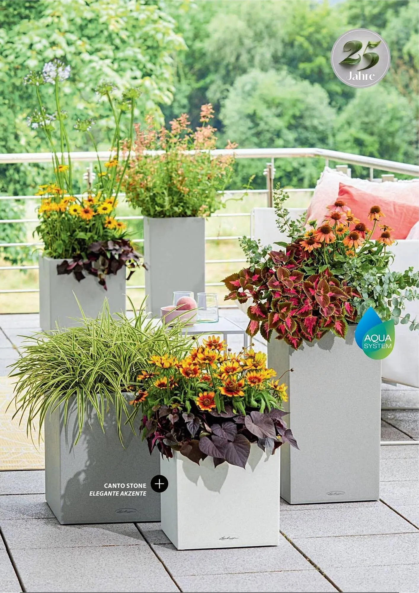 Dehner Prospekt von 1. Juli bis 31. Dezember 2025 - Prospekt seite 27