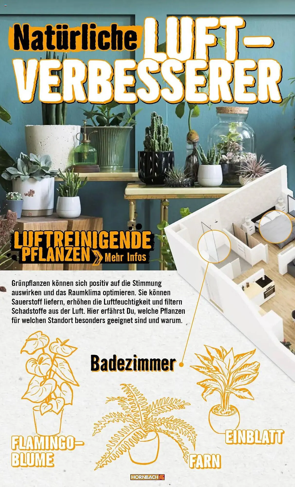Hornbach Prospekt von 8. Juni bis 31. Dezember 2025 - Prospekt seite 22
