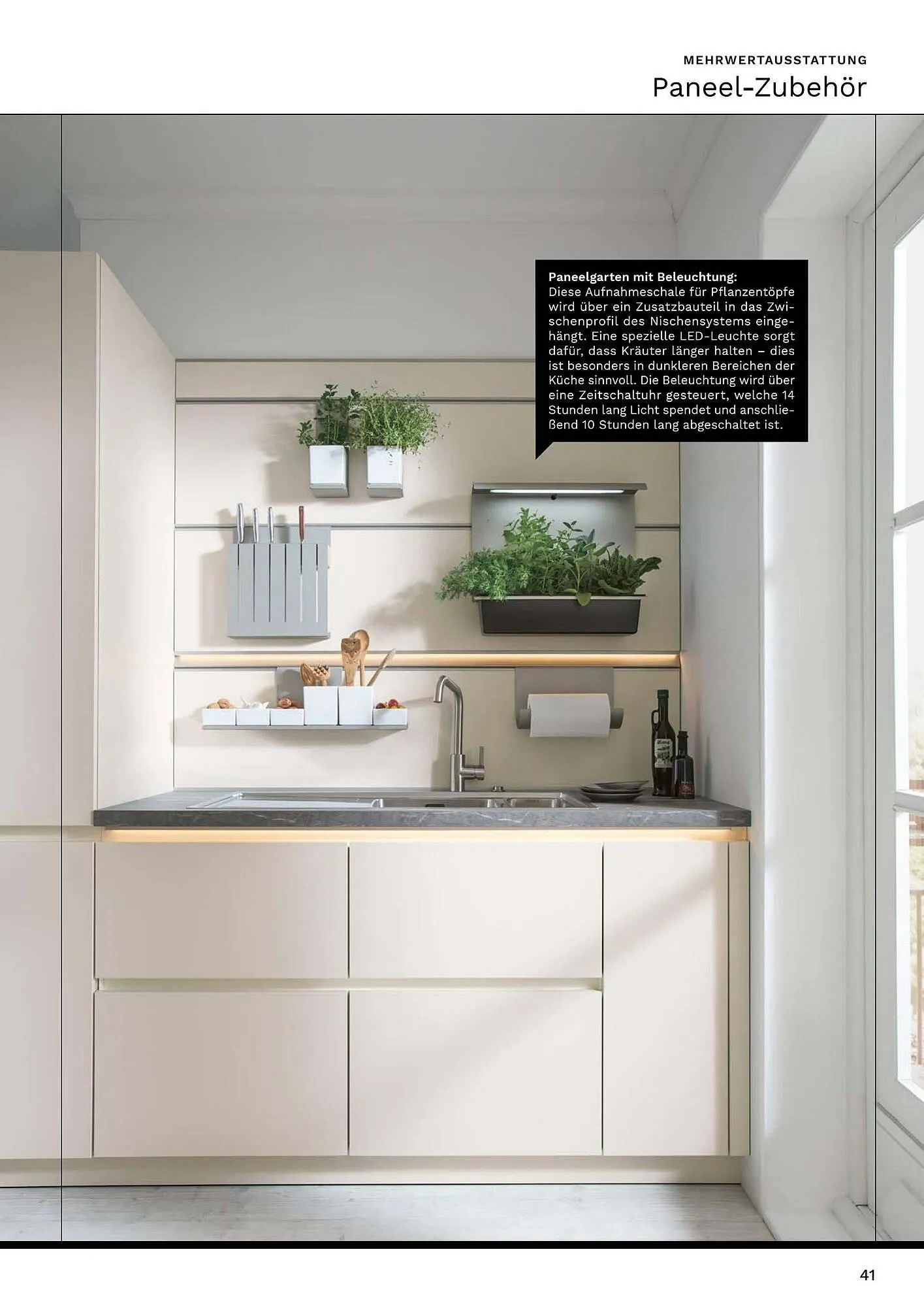 Wiethoff Prospekt von 1. März bis 7. März 2025 - Prospekt seite 41