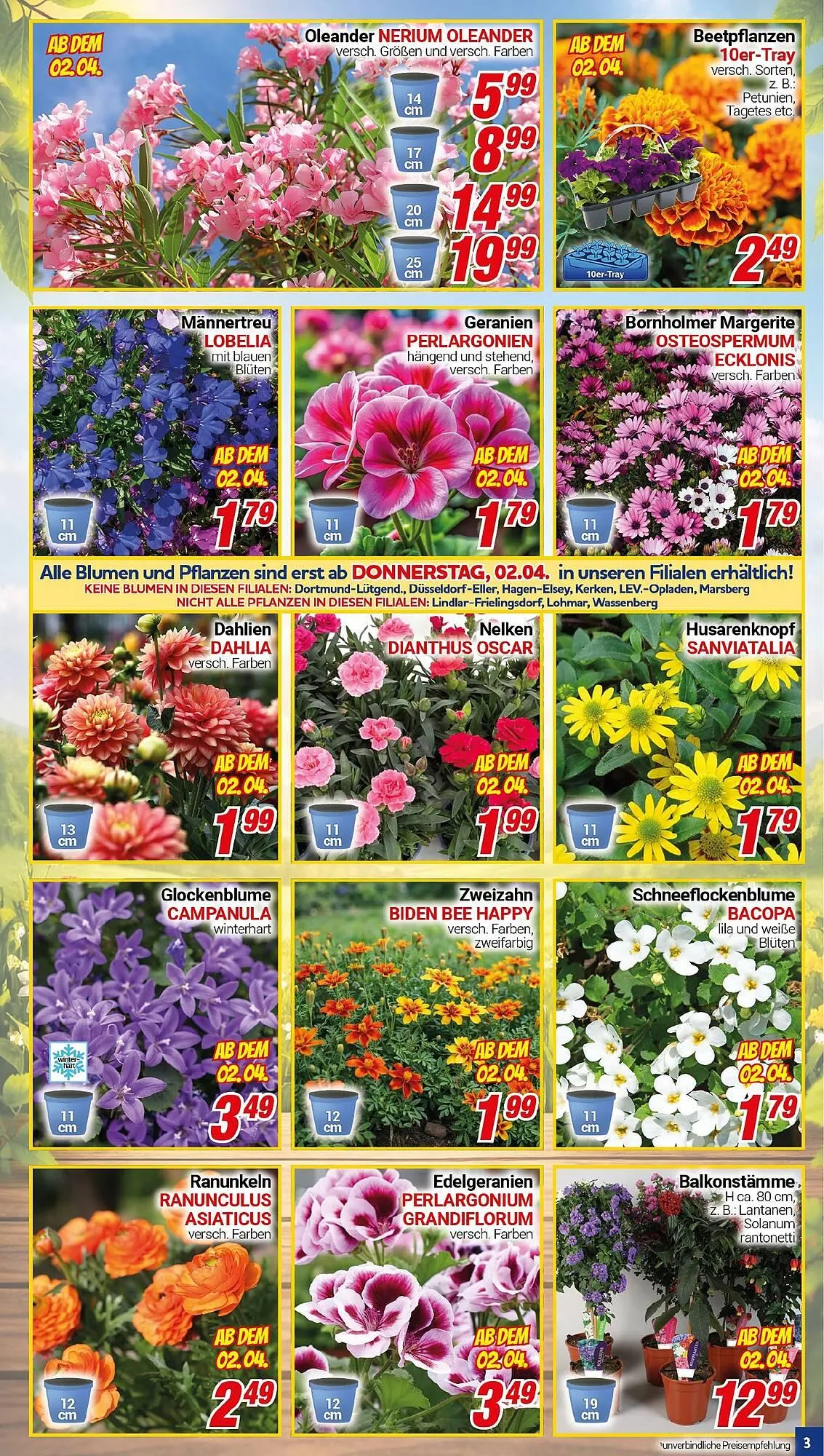 CENTERSHOP Prospekt von 30. März bis 4. April 2026 - Prospekt seite 3