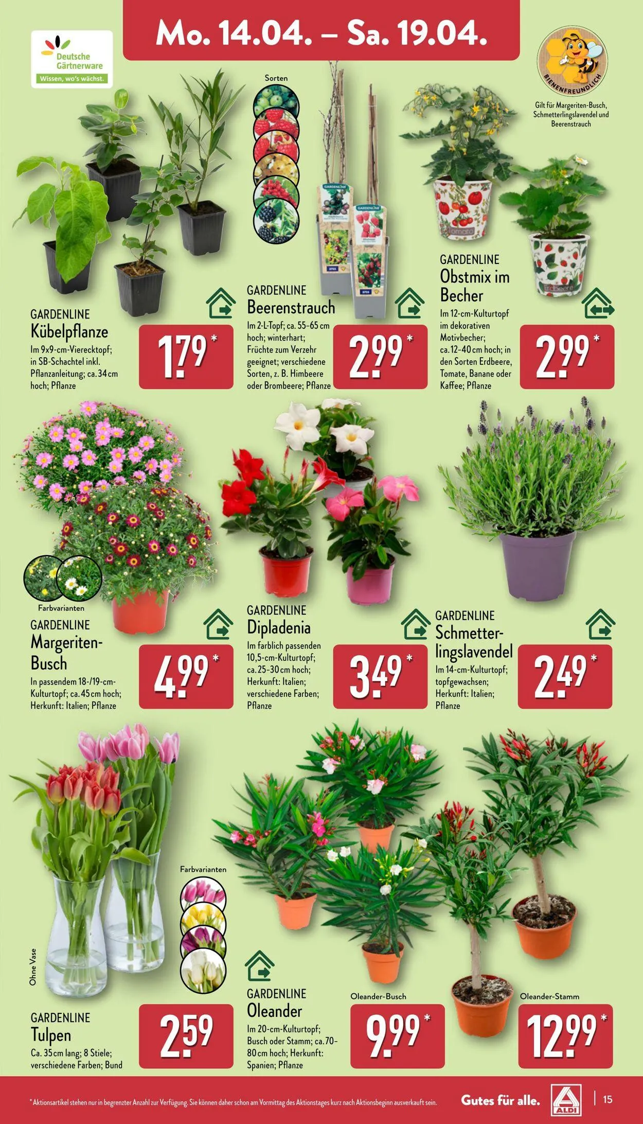 Aldi-Nord von 7. April bis 12. April 2025 - Prospekt seite 15