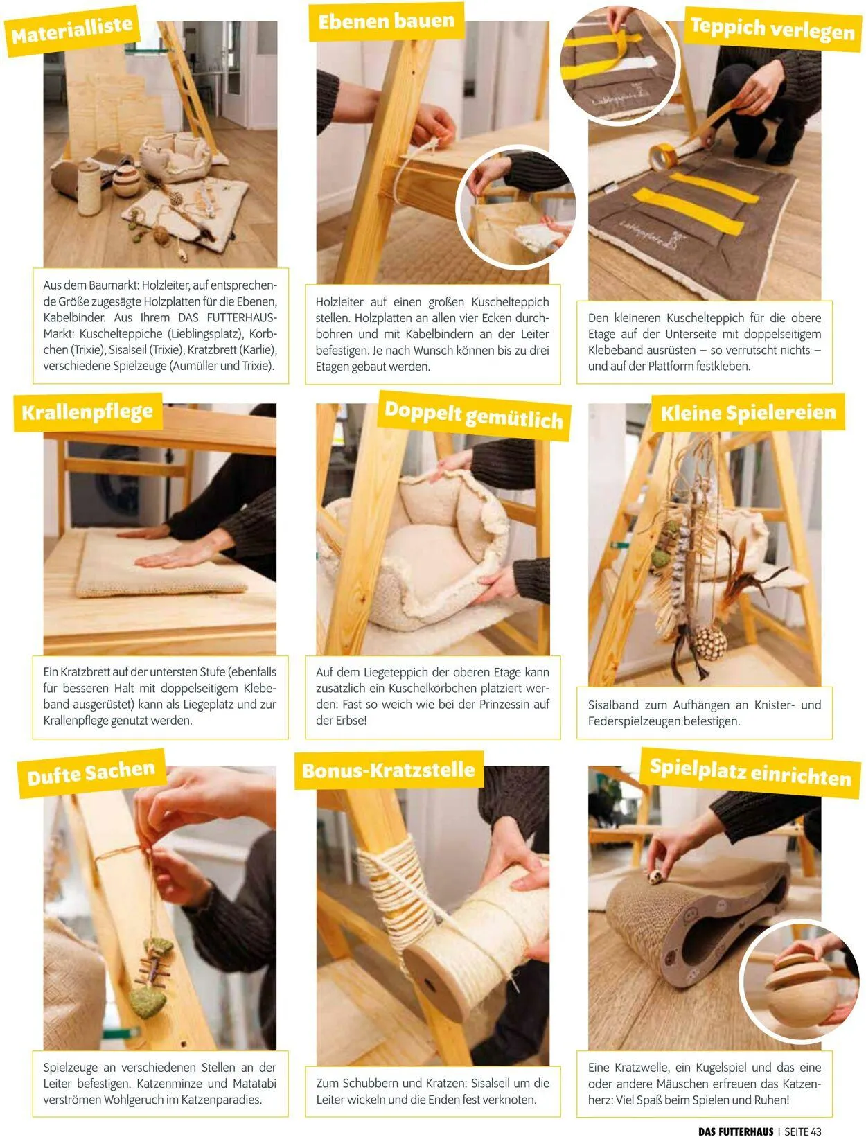 Futterhaus Aktueller Prospekt von 1. Oktober bis 31. Oktober 2025 - Prospekt seite 43