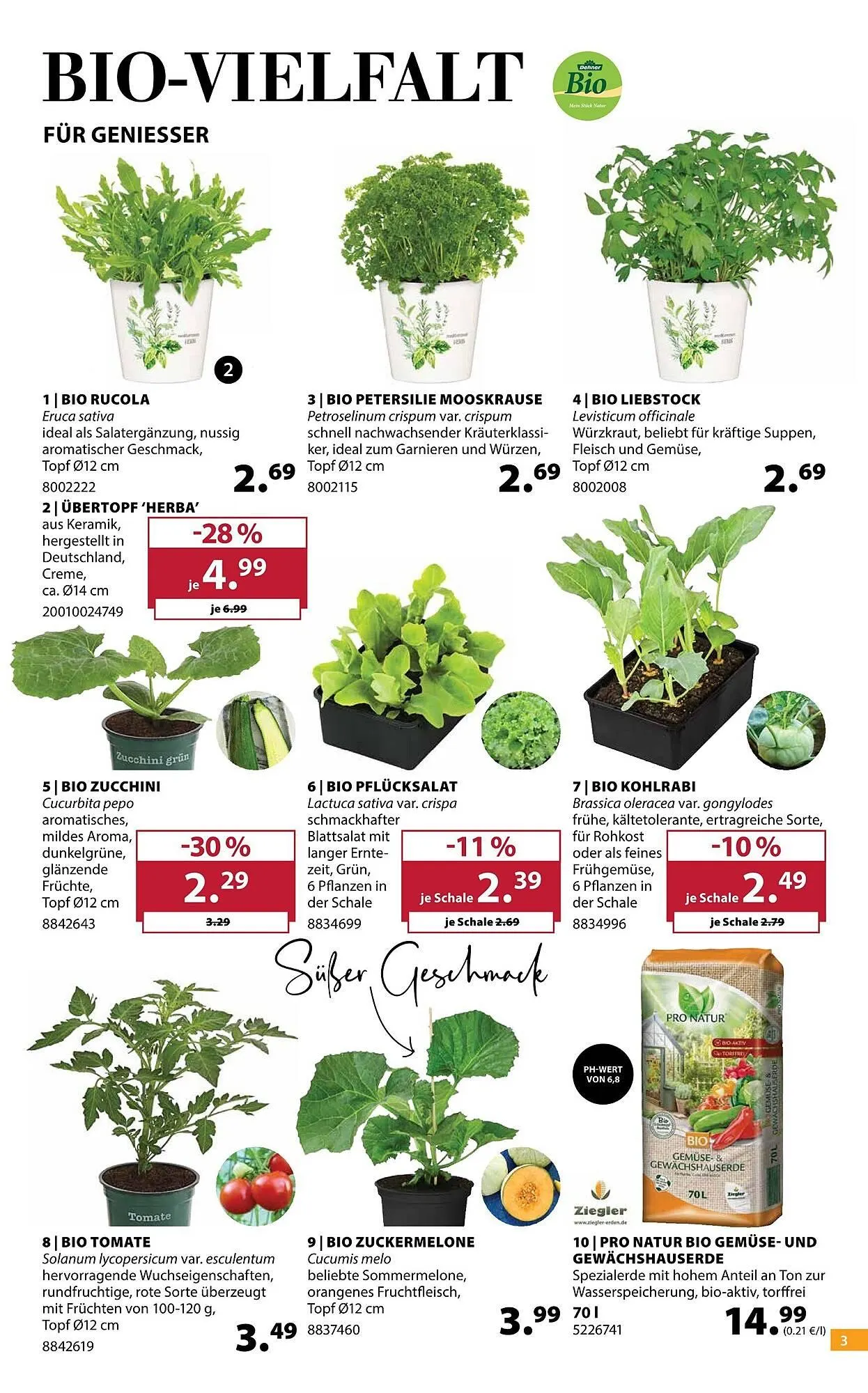 Dehner Prospekt von 8. April bis 13. April 2026 - Prospekt seite 3
