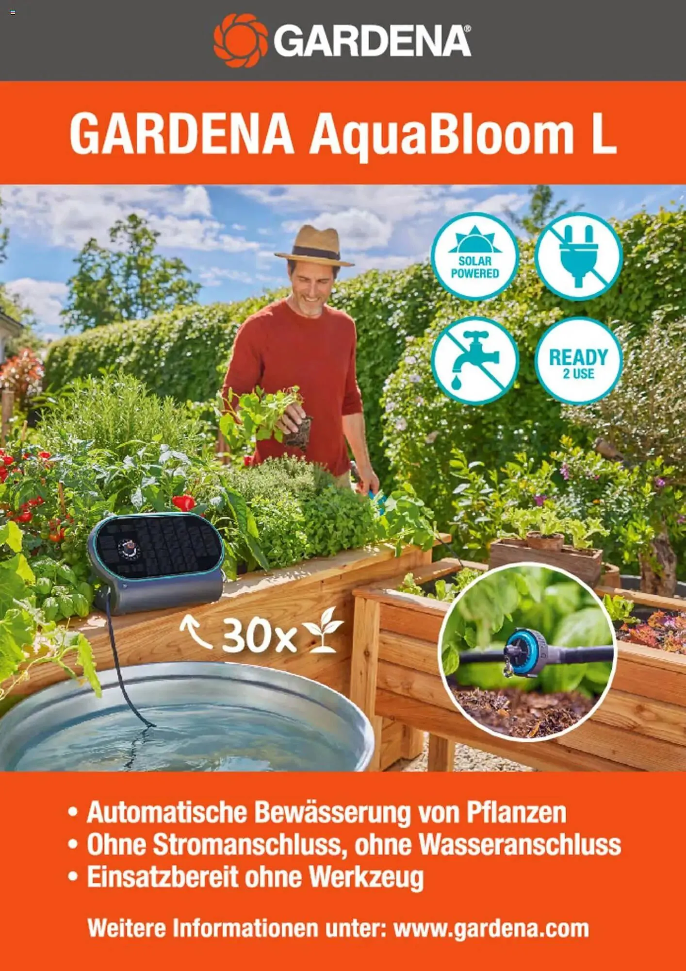Dehner Prospekt von 6. März bis 9. Juni 2025 - Prospekt seite 65