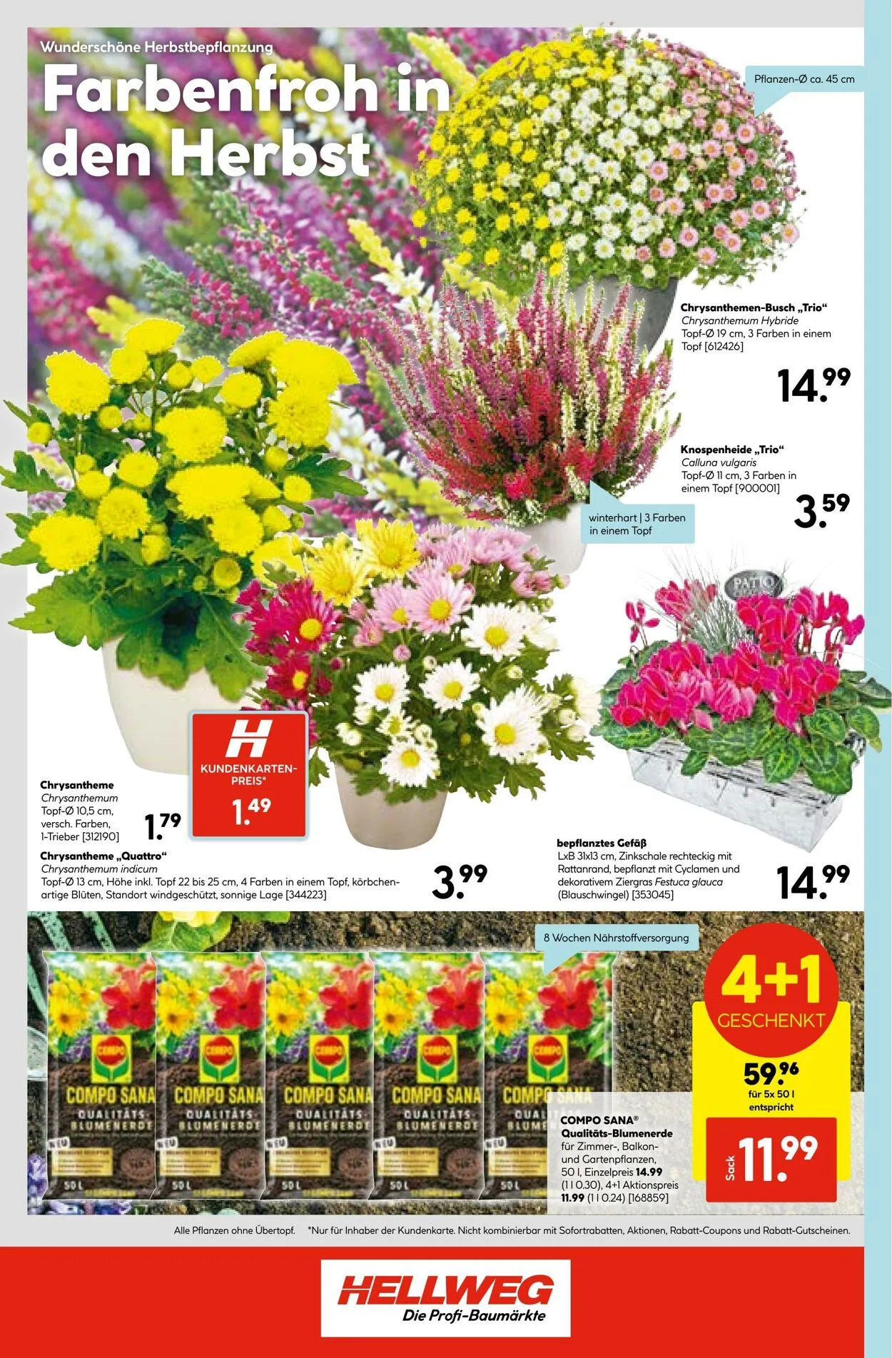 Hellweg Aktueller Prospekt von 27. Oktober bis 10. November 2025 - Prospekt seite 24