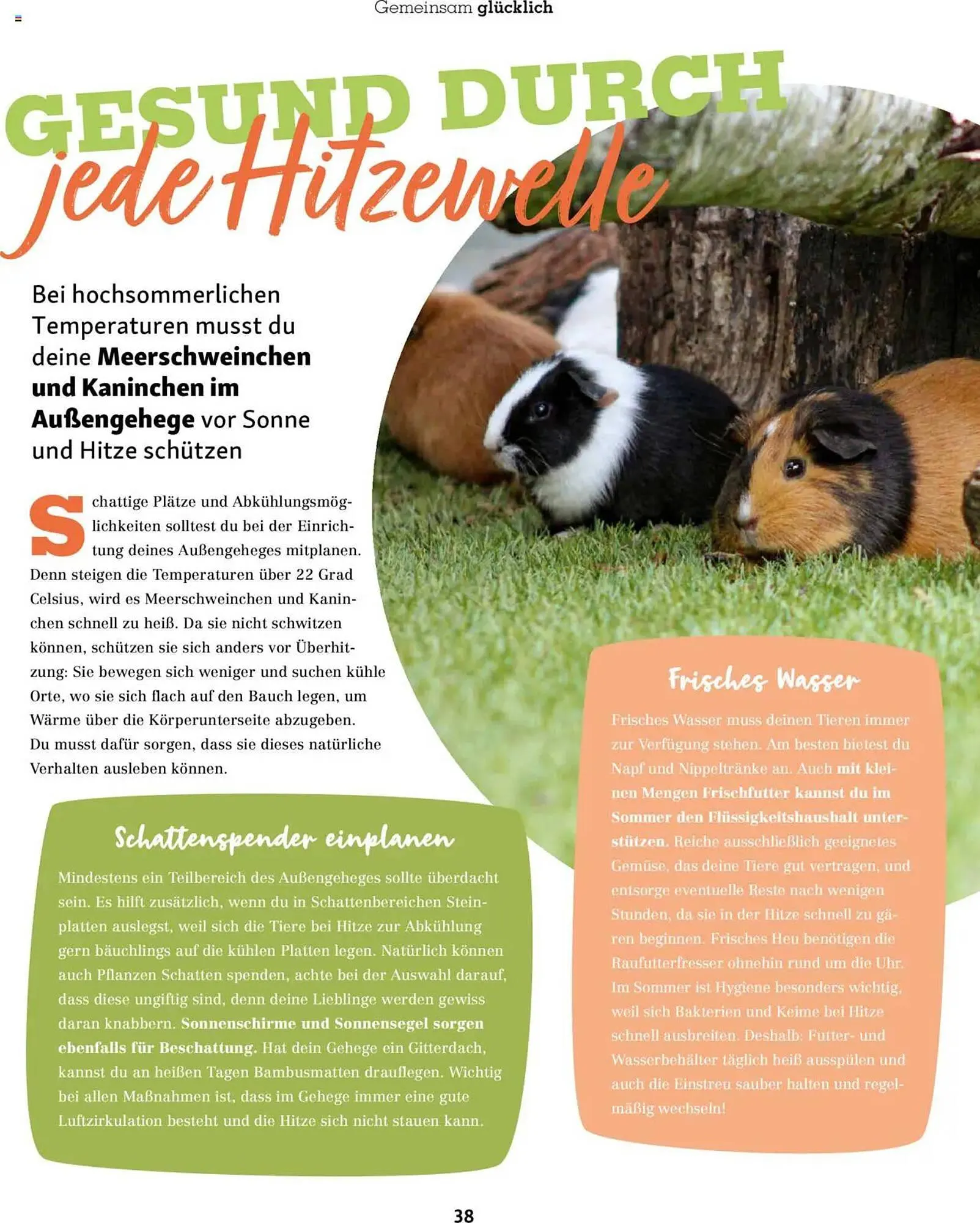 Fressnapf Prospekt von 1. Juli bis 31. August 2025 - Prospekt seite 38