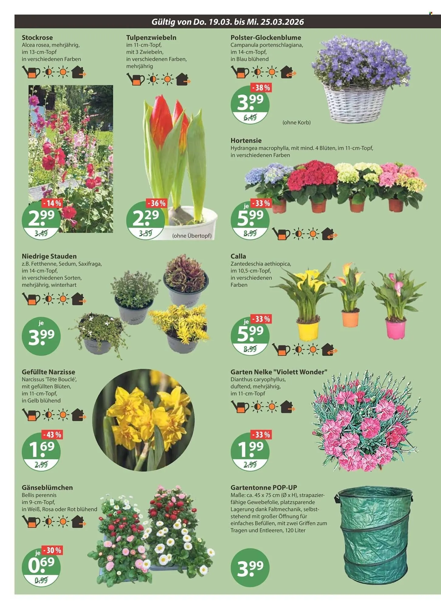 V Markt Prospekt von 19. März bis 25. März 2026 - Prospekt seite 18