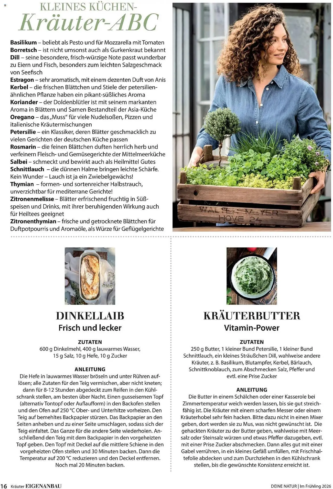 Dehner Prospekt von 4. März bis 31. Mai 2026 - Prospekt seite 16