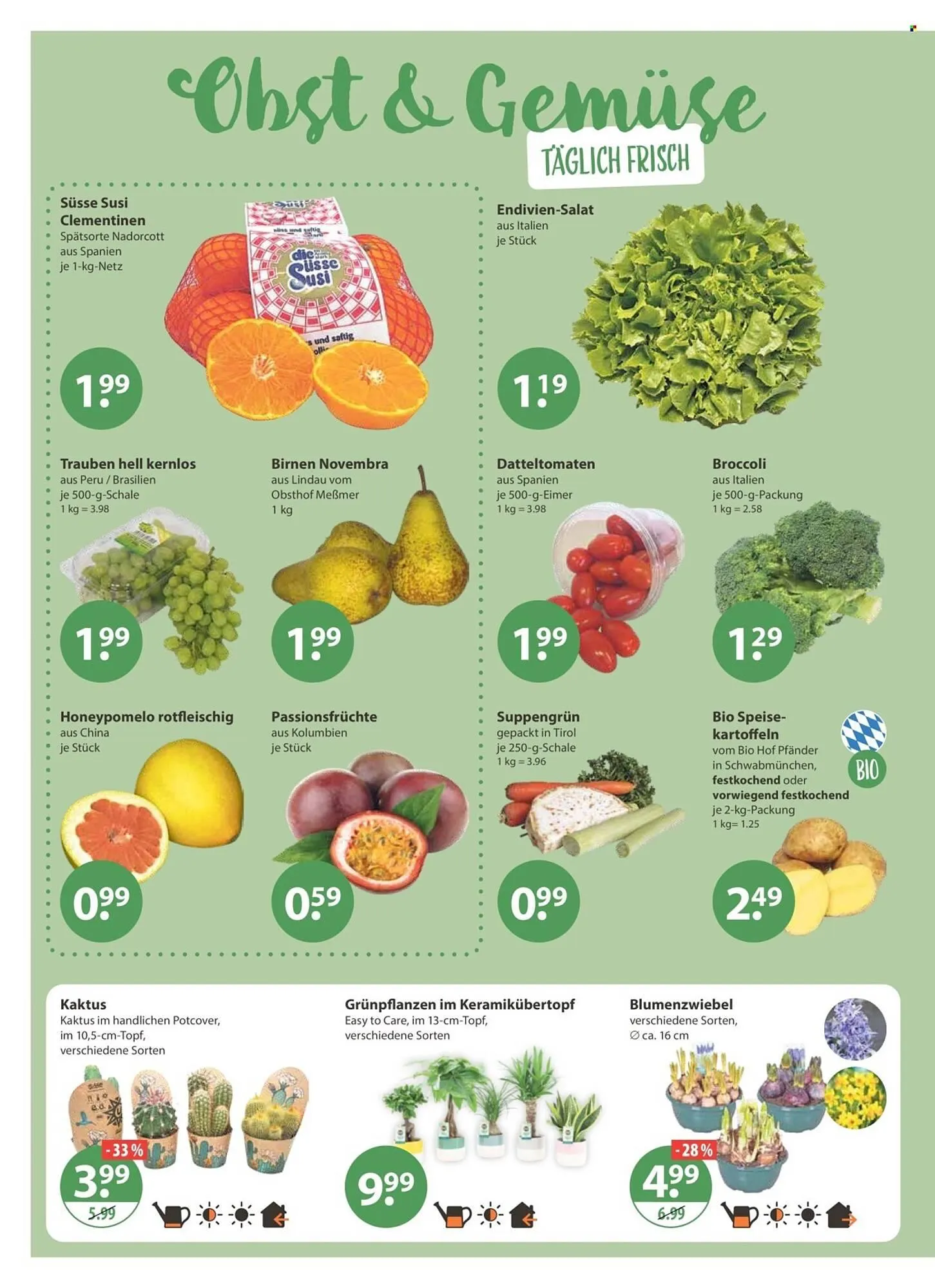 V Markt Prospekt von 15. Januar bis 21. Januar 2026 - Prospekt seite 4