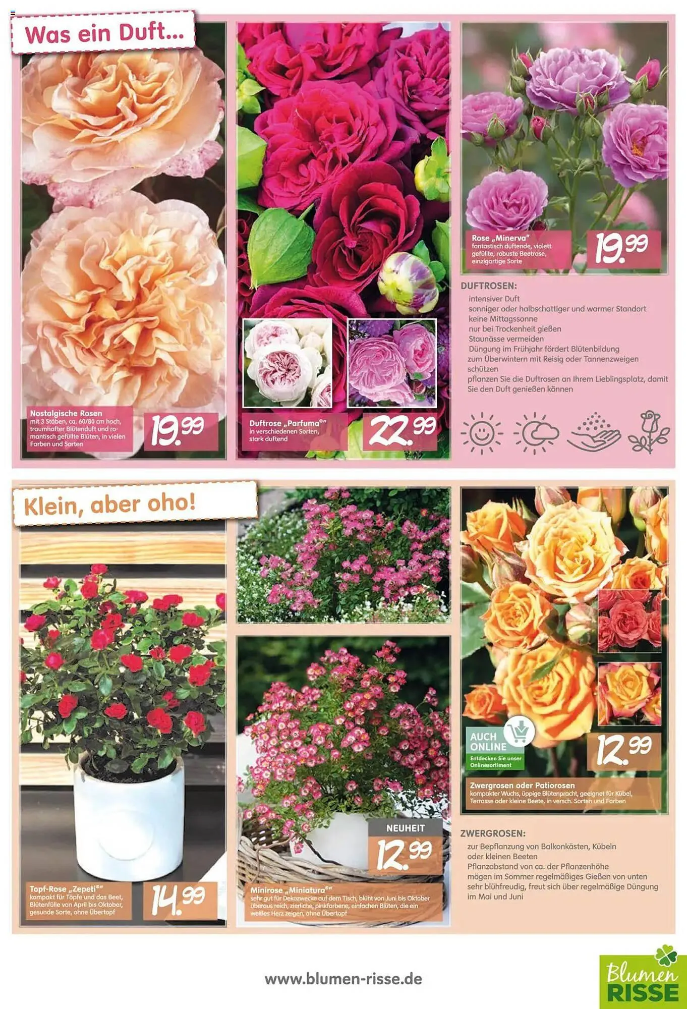 Blumen Risse Prospekt von 28. Mai bis 9. Juni 2025 - Prospekt seite 3