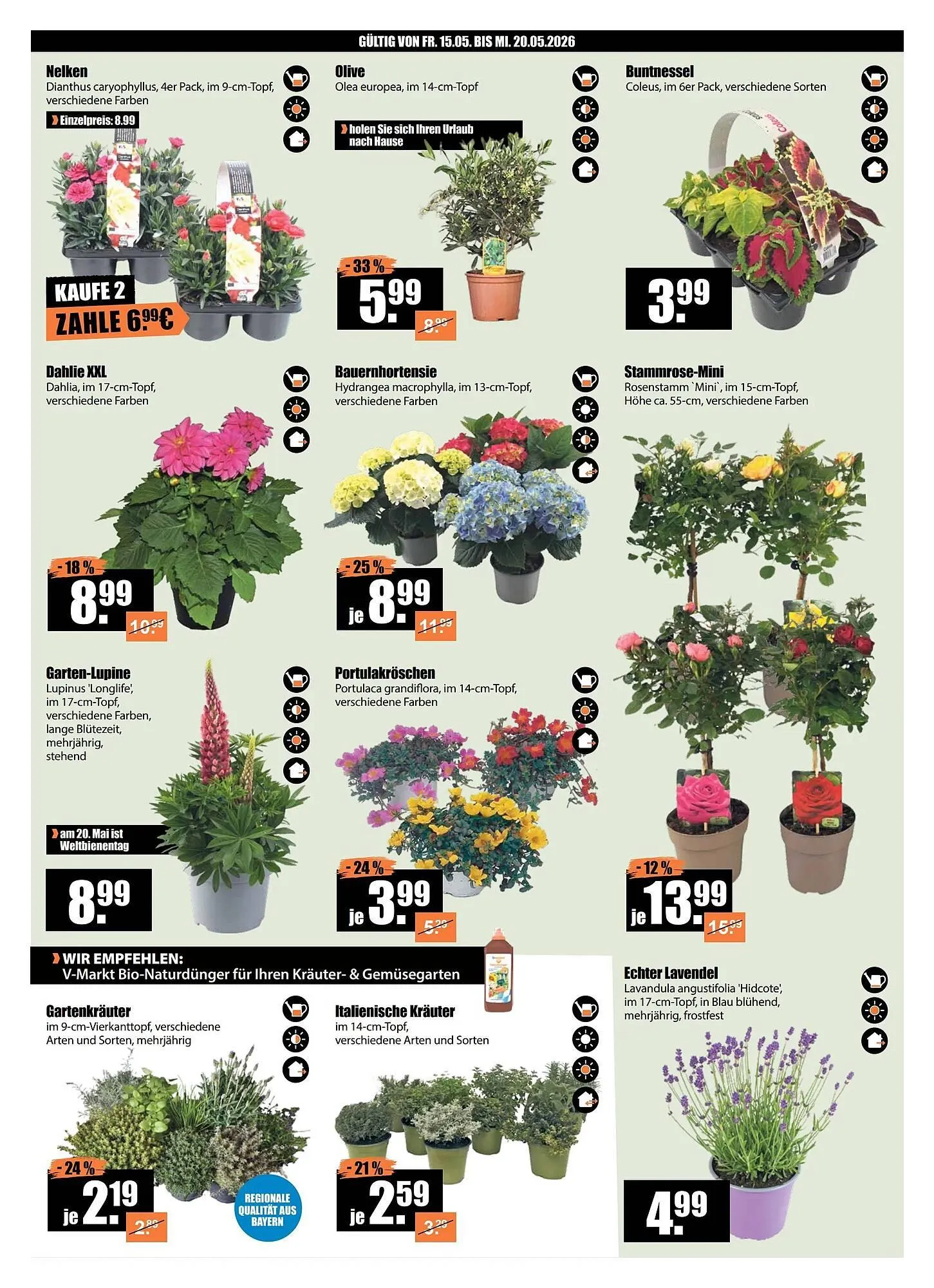V Baumarkt Prospekt von 15. Mai bis 21. Mai 2026 - Prospekt seite 2
