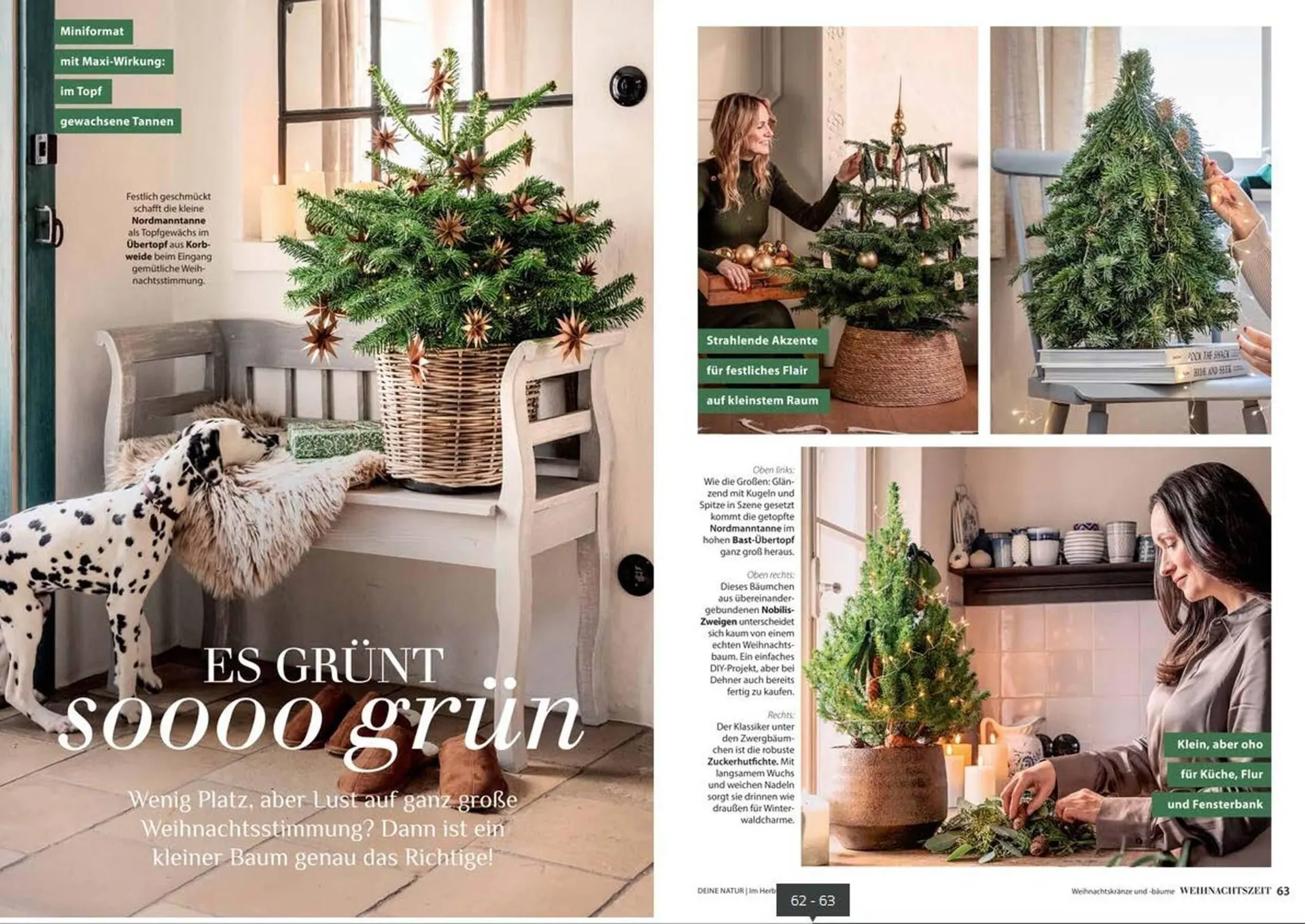 Dehner Prospekt von 24. Oktober bis 31. Dezember 2025 - Prospekt seite 32