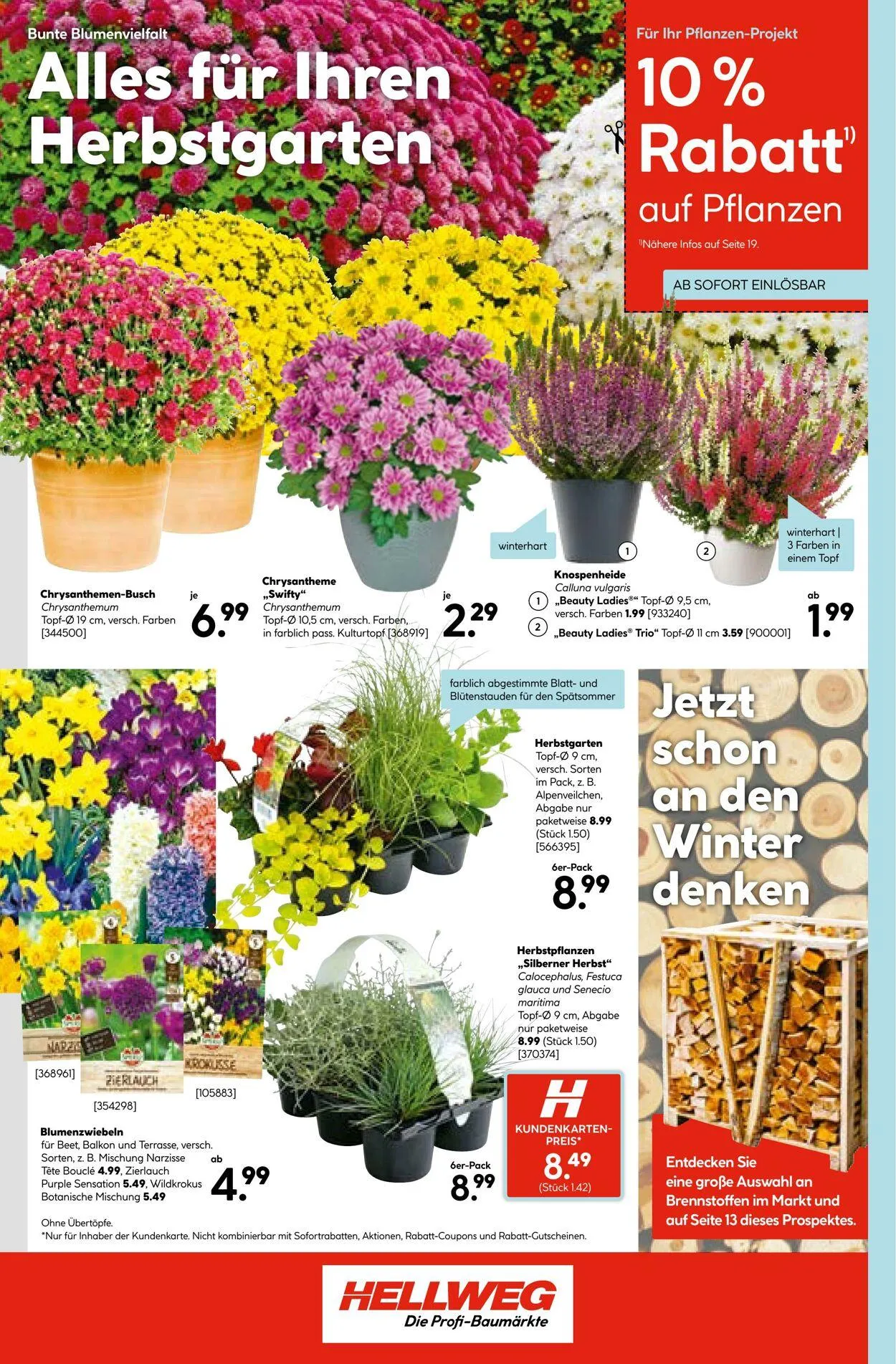 Hellweg Aktueller Prospekt von 29. September bis 13. Oktober 2025 - Prospekt seite 26