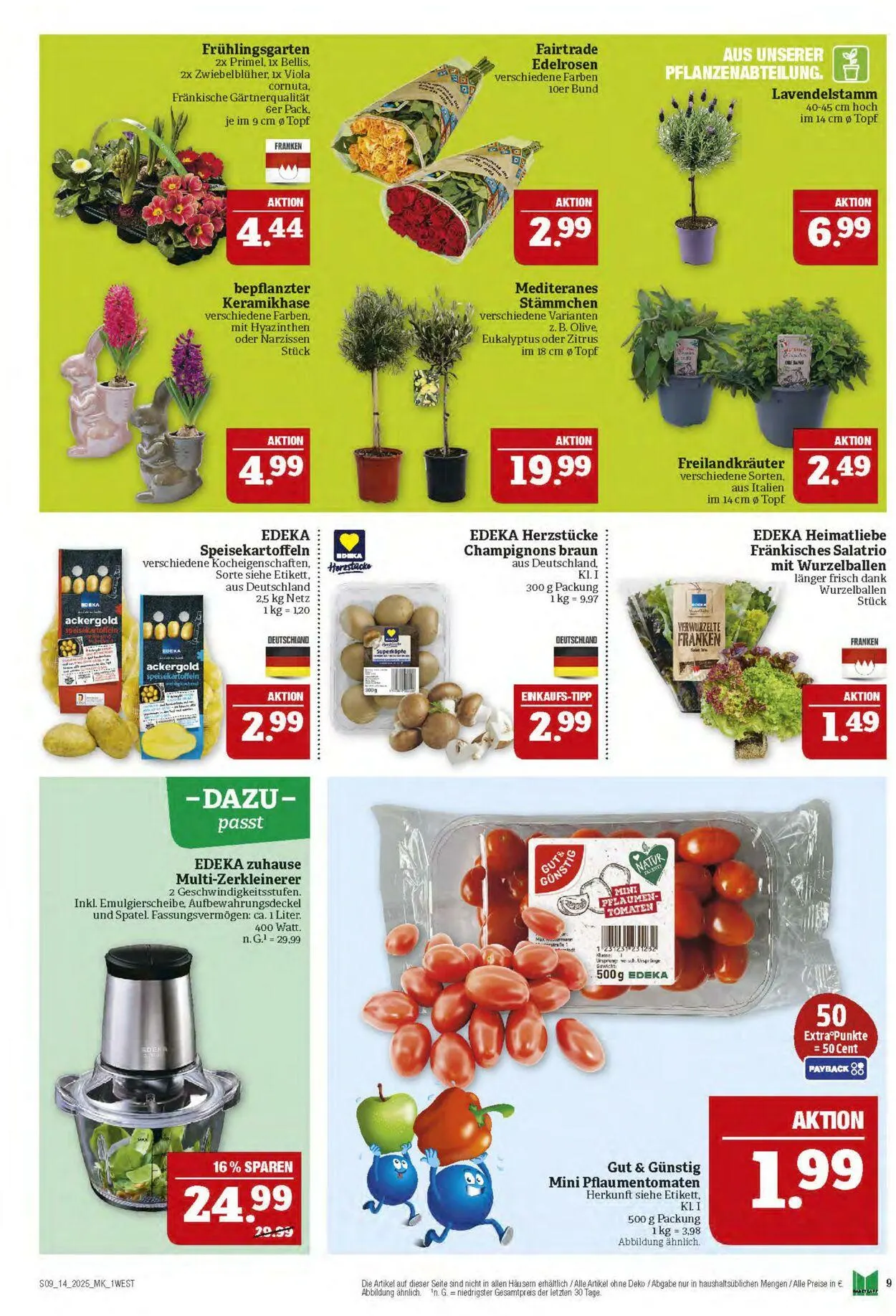 Marktkauf - Nürnberg-Thon Aktueller Prospekt von 31. März bis 5. April 2025 - Prospekt seite 9