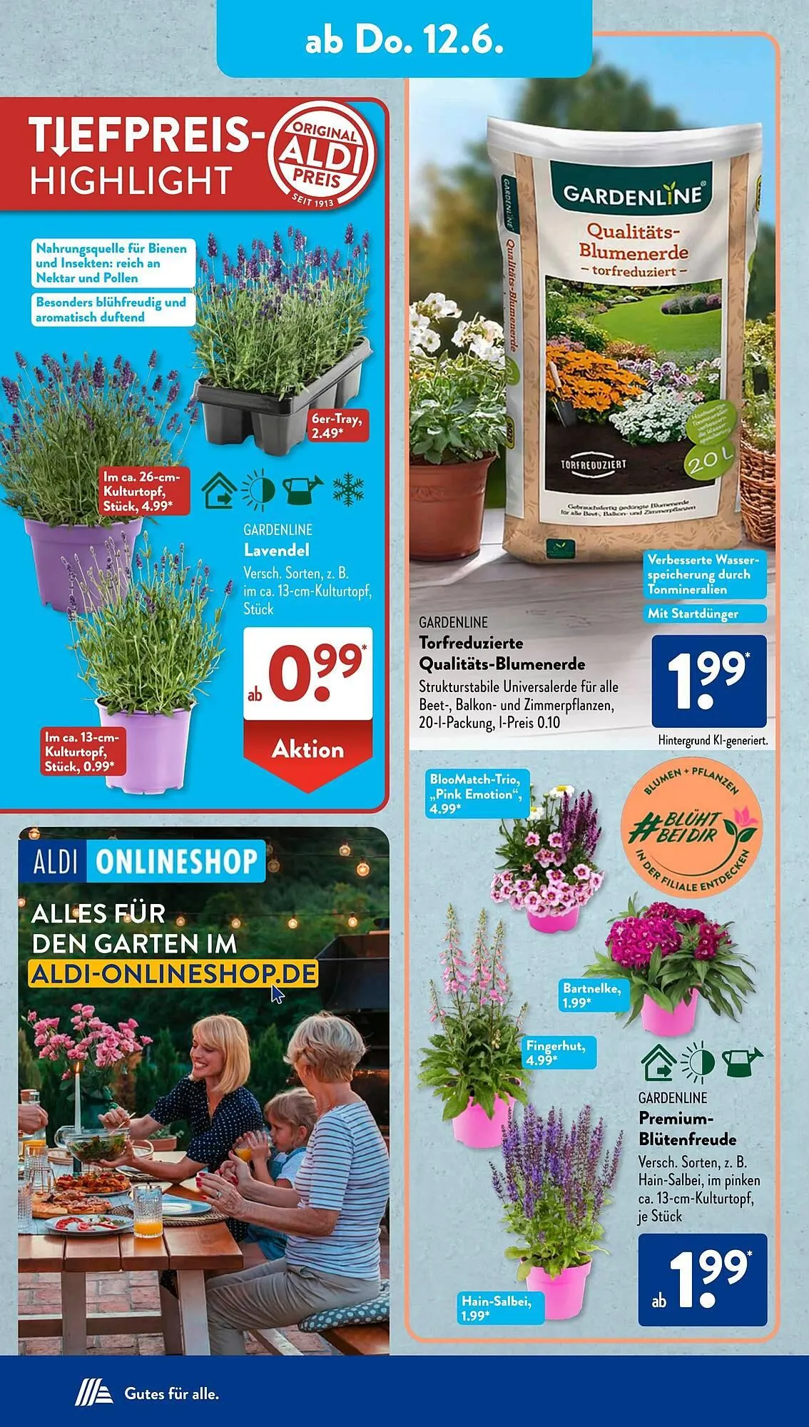 Aldi Süd Prospekt von 10. Juni bis 15. Juni 2025 - Prospekt seite 10