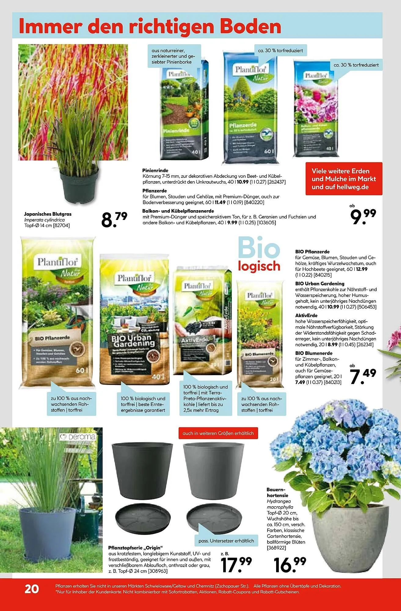 Hellweg Prospekt von 5. Mai bis 13. Mai 2025 - Prospekt seite 22