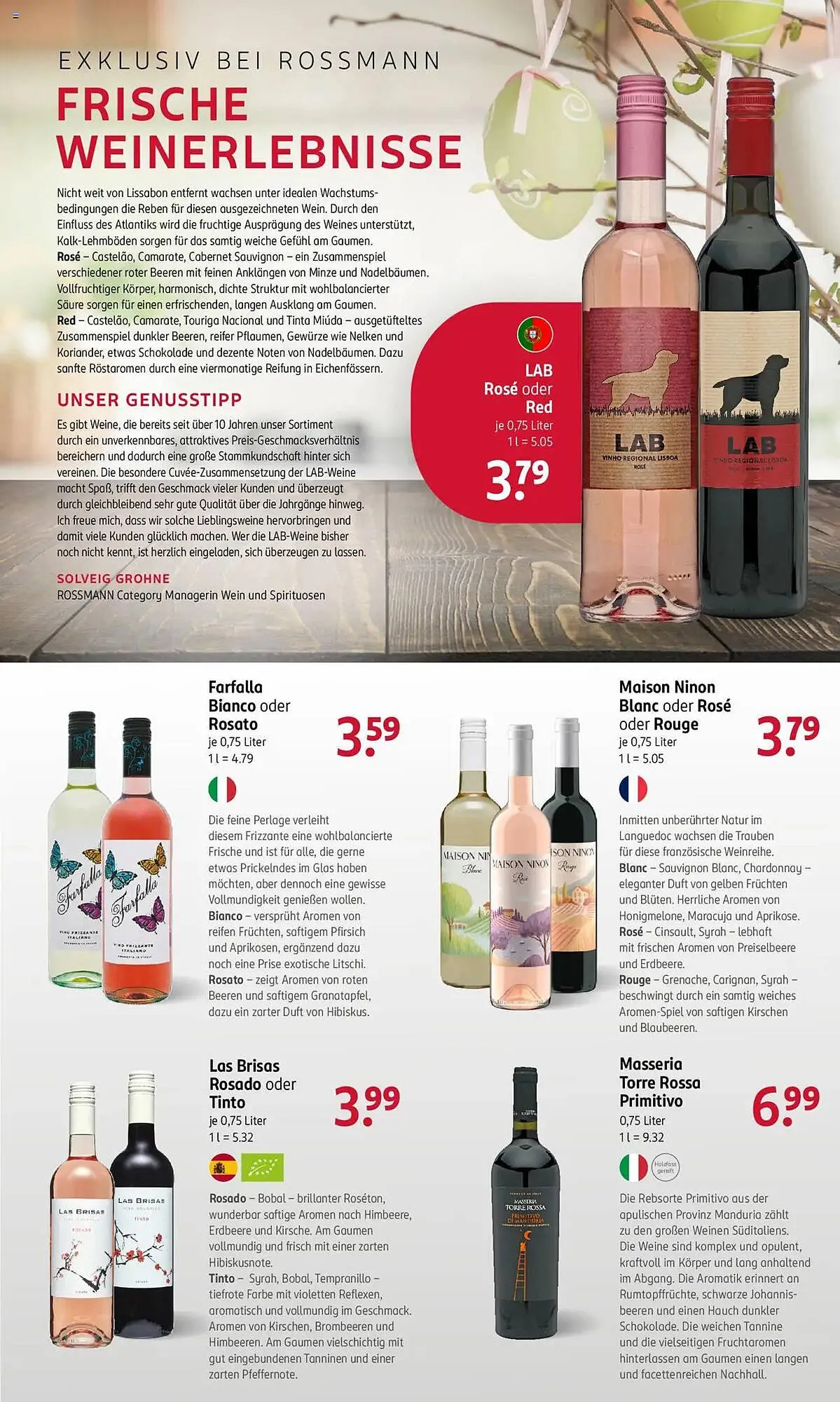 Rossmann Prospekt von 14. April bis 17. April 2025 - Prospekt seite 17