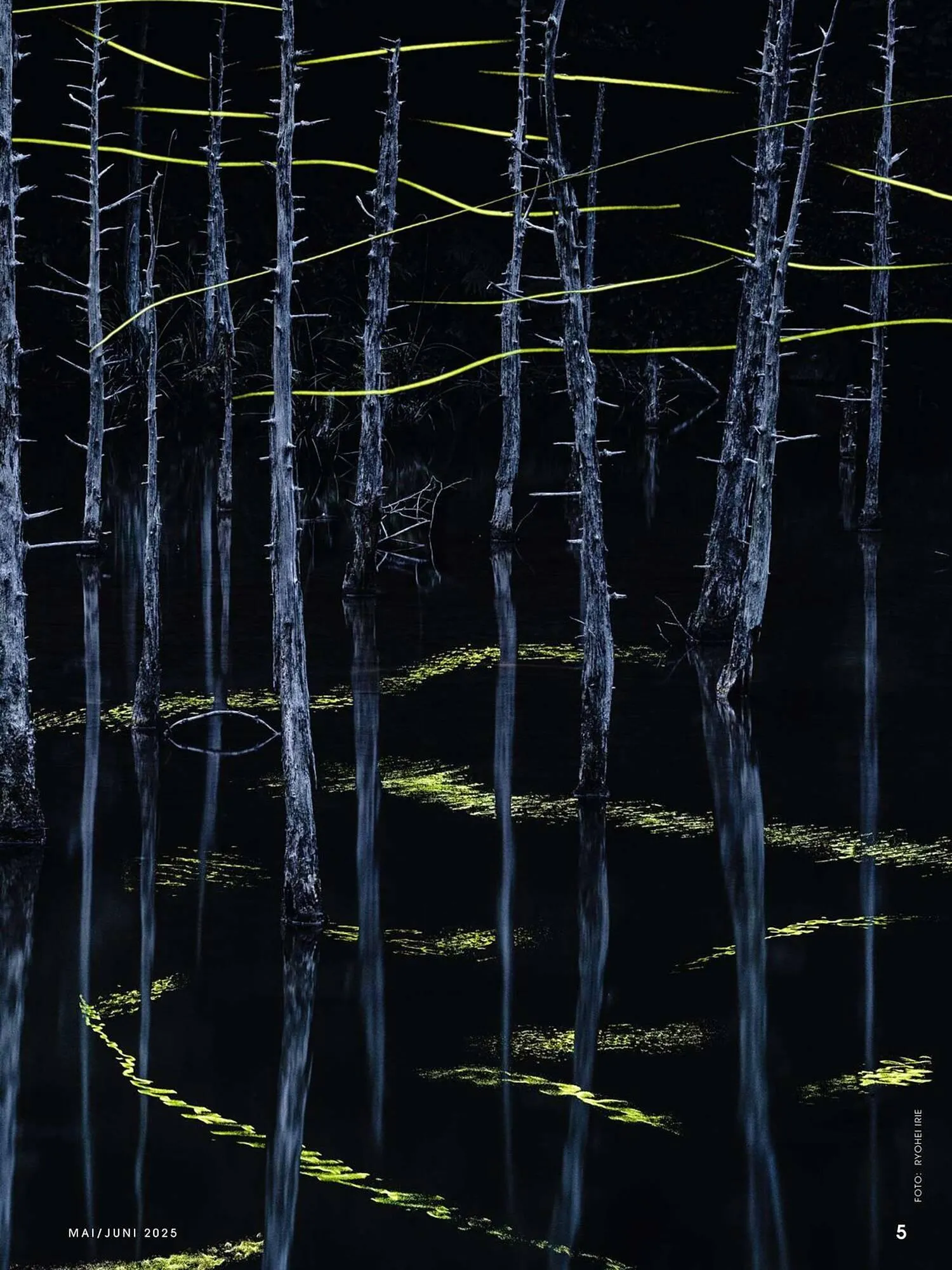 Ringfoto Prospekt von 22. Mai bis 30. Juni 2025 - Prospekt seite 5