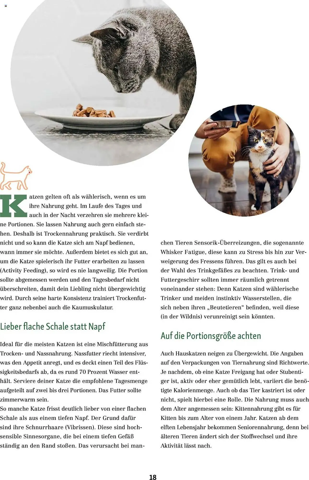 Fressnapf Magazin von 1. September bis 31. Oktober 2025 - Prospekt seite 18