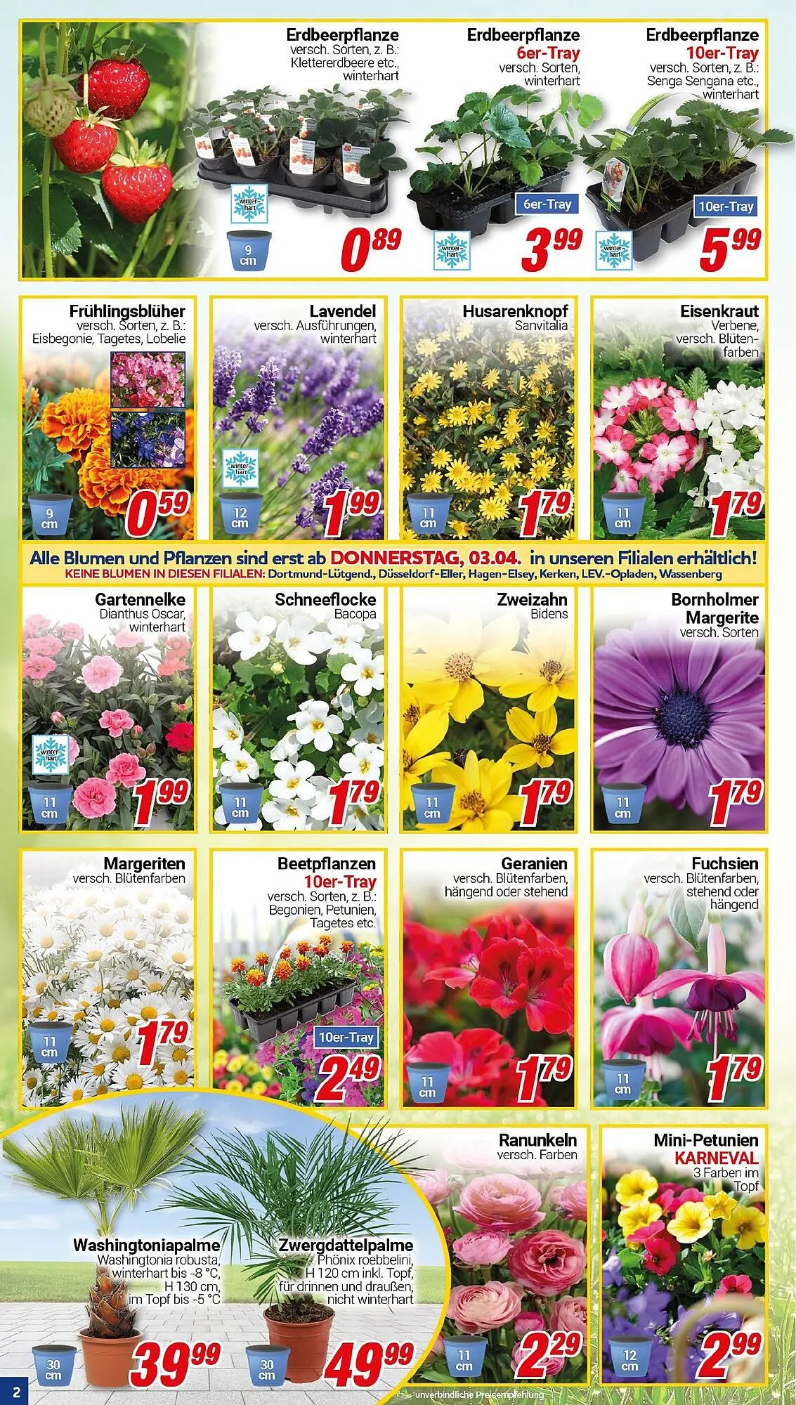 CENTERSHOP Prospekt von 31. März bis 5. April 2025 - Prospekt seite 2