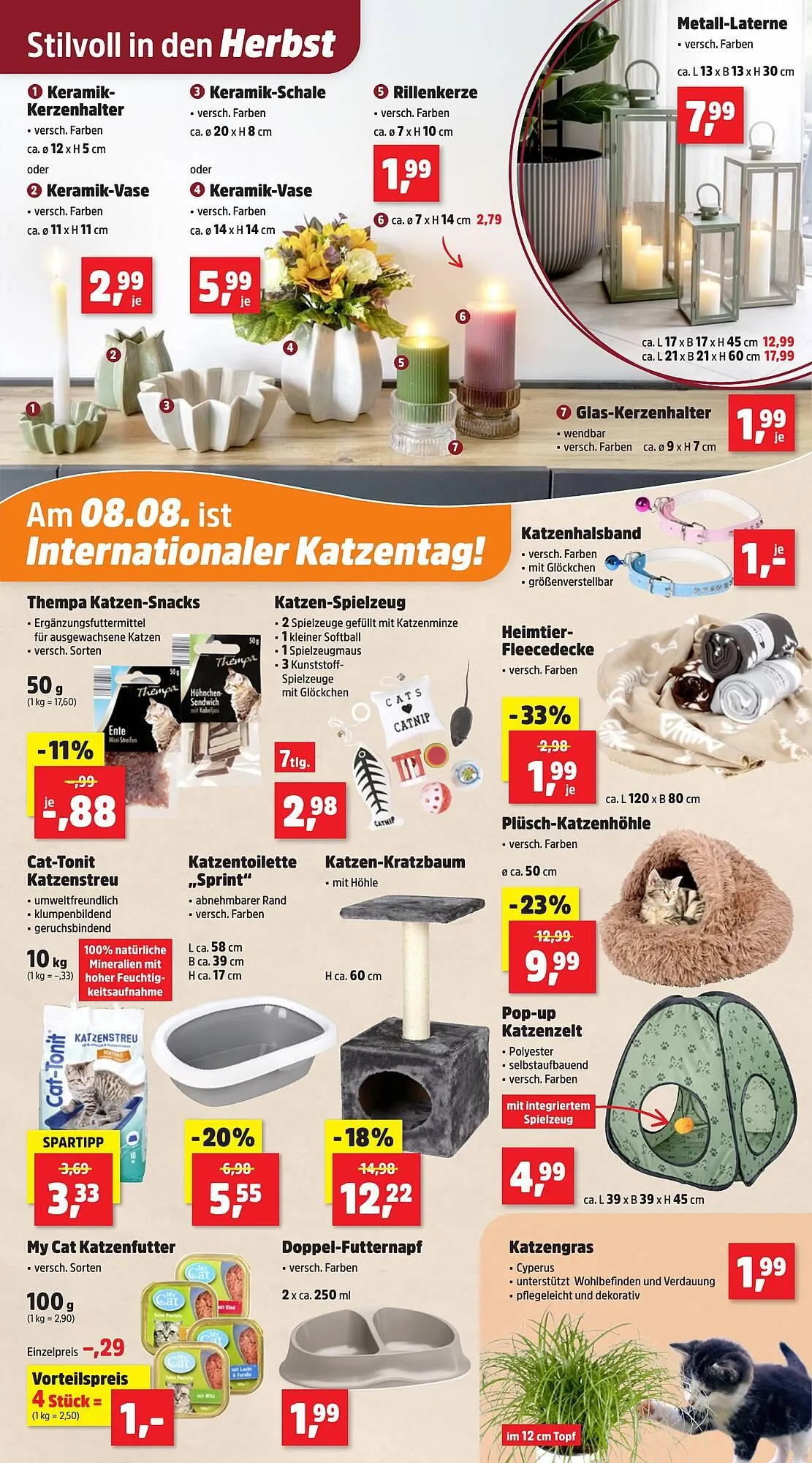 Thomas Philipps Prospekt von 4. August bis 9. August 2025 - Prospekt seite 5