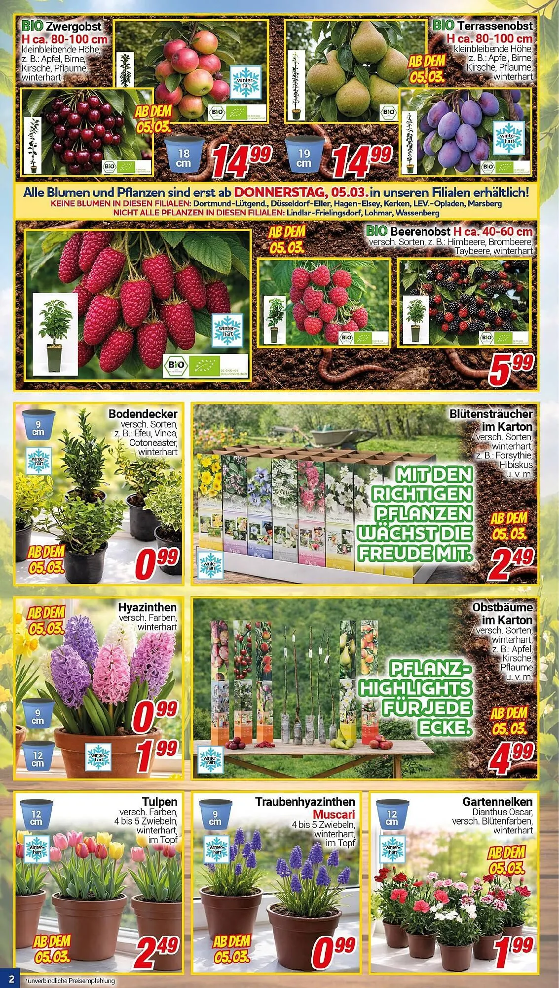 CENTERSHOP Prospekt von 2. März bis 7. März 2026 - Prospekt seite 2