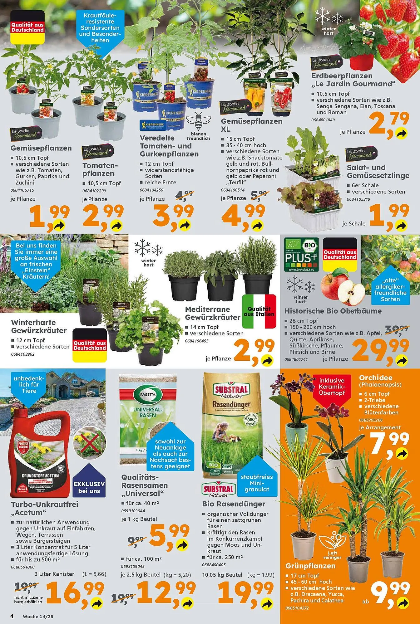 Globus Baumarkt Prospekt von 30. März bis 5. April 2025 - Prospekt seite 4