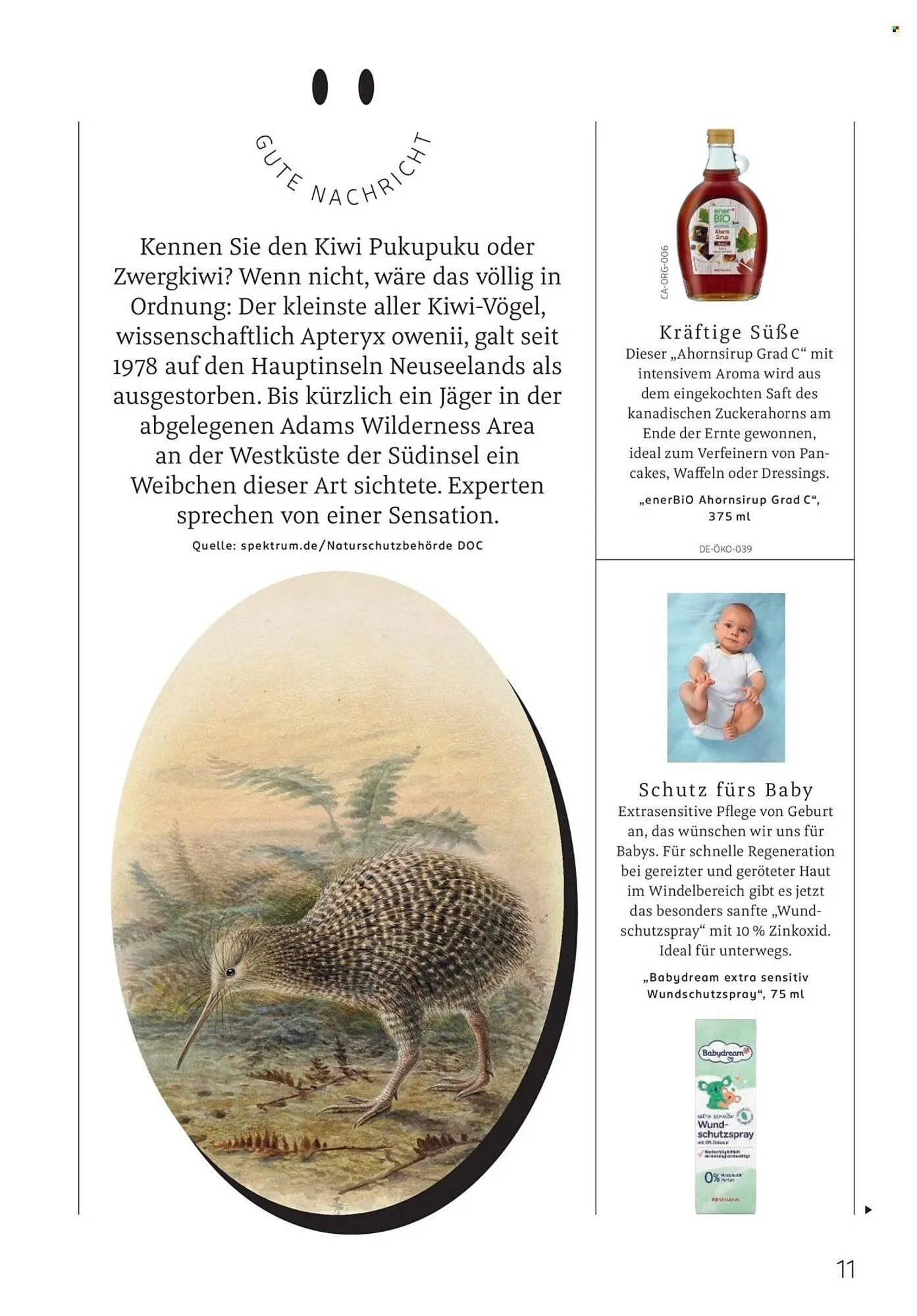 Rossmann Prospekt von 1. Oktober bis 31. Oktober 2025 - Prospekt seite 11