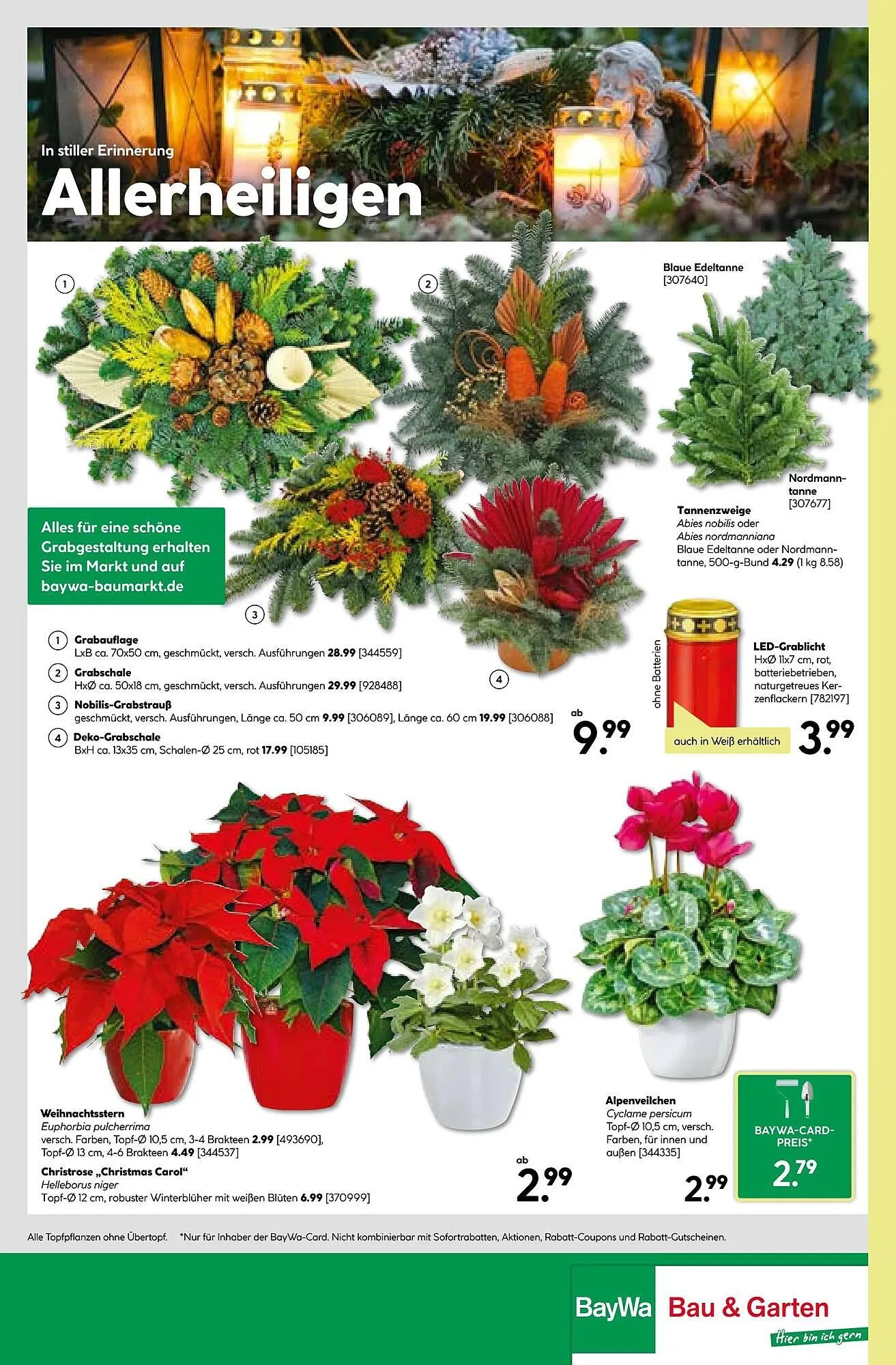 BayWa Prospekt von 27. Oktober bis 2. November 2025 - Prospekt seite 24