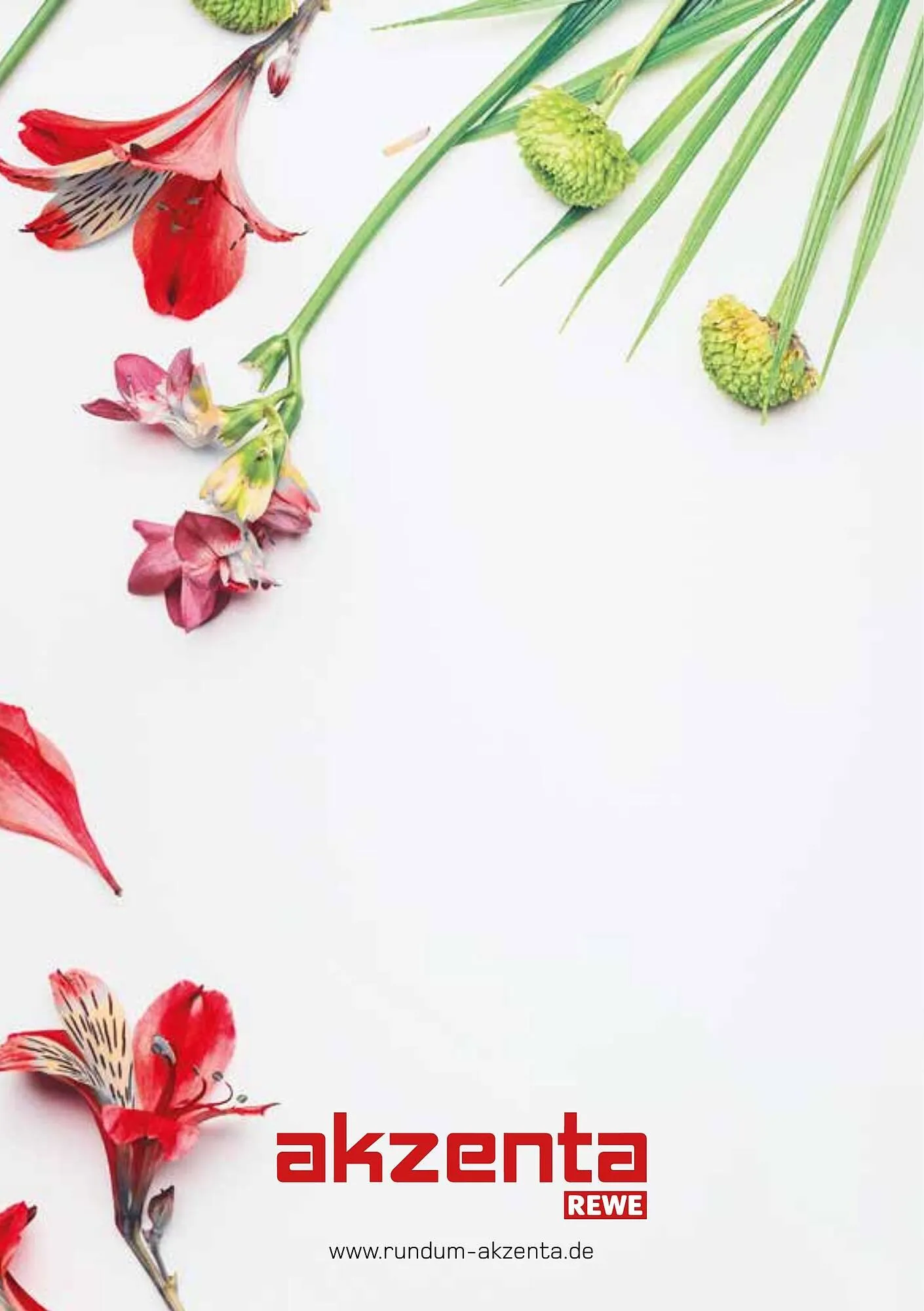 akzenta Prospekt von 1. April bis 30. Juni 2025 - Prospekt seite 24