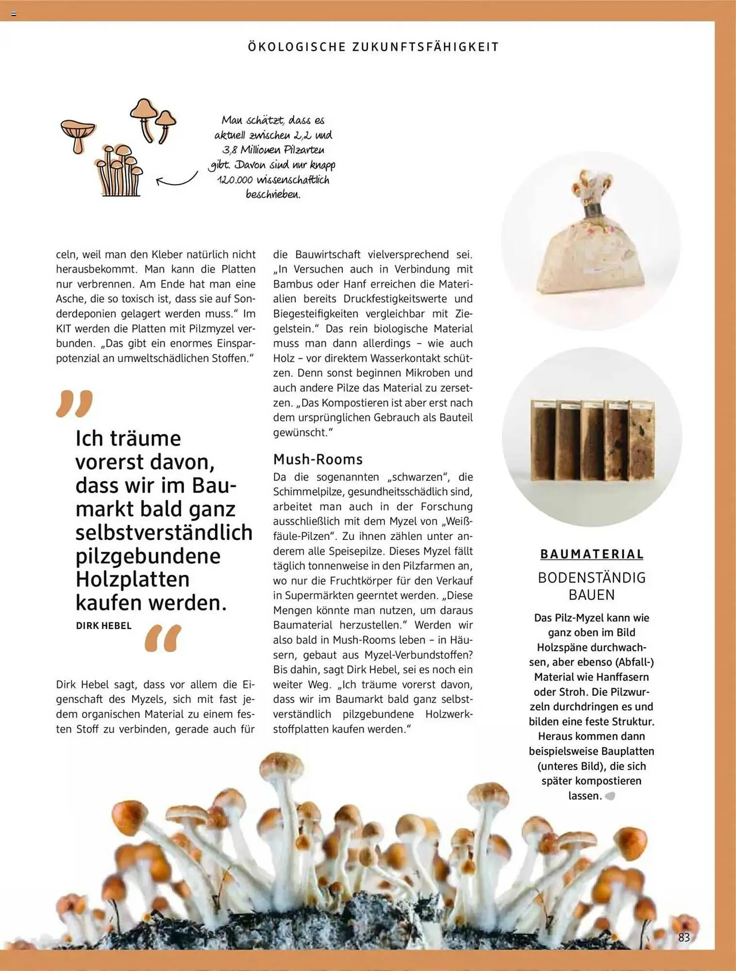 dm drogerie Prospekt von 1. April bis 30. April 2025 - Prospekt seite 83