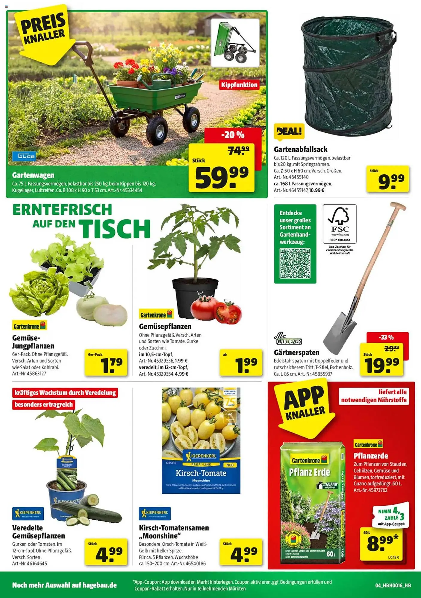 Hagebau Prospekt von 11. April bis 18. April 2026 - Prospekt seite 4