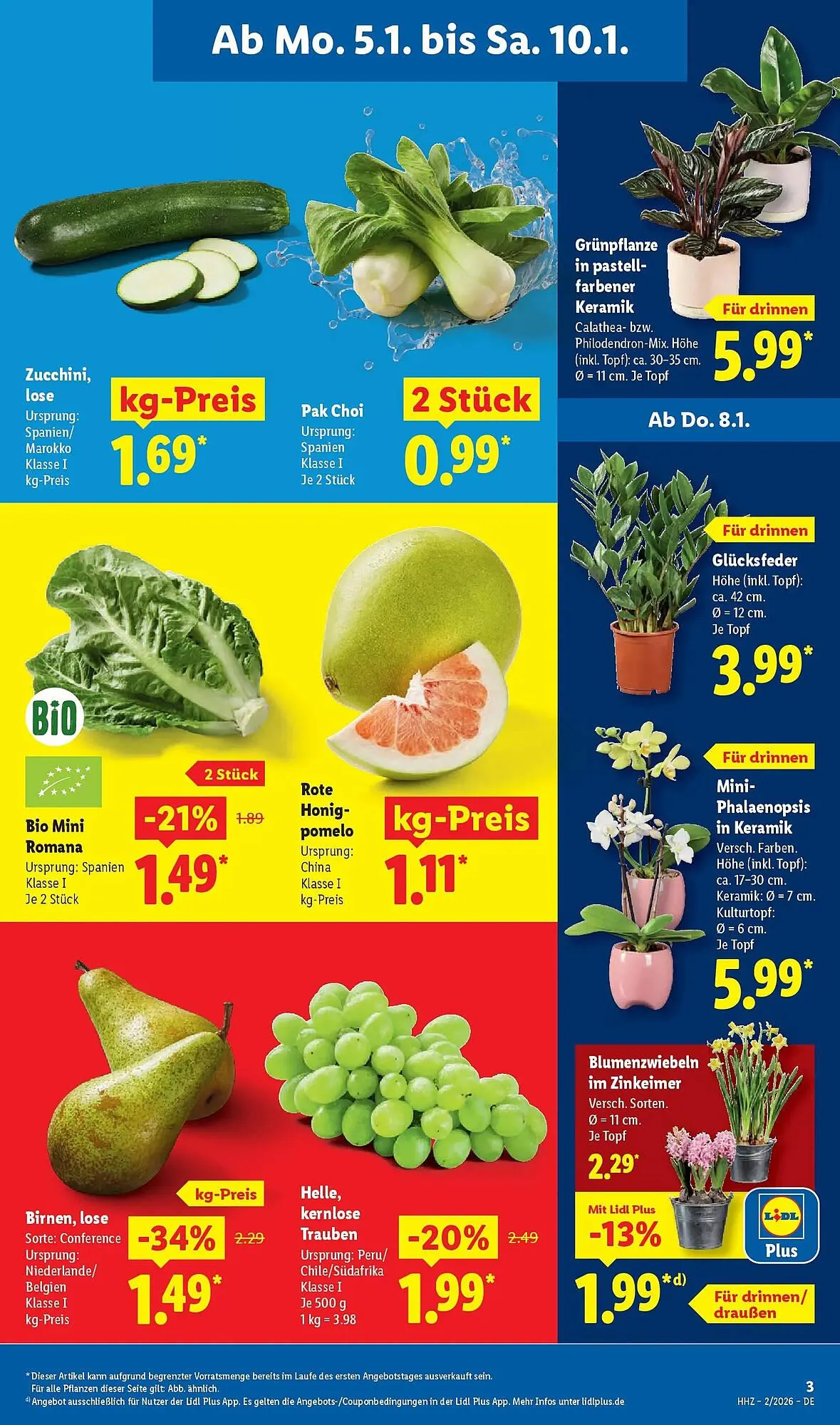 Lidl Prospekt von 4. Januar bis 10. Januar 2026 - Prospekt seite 5