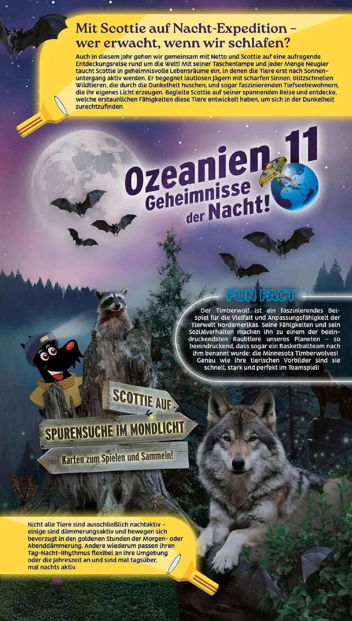 NETTO Prospekt von 18. August bis 23. August 2025 - Prospekt seite 13