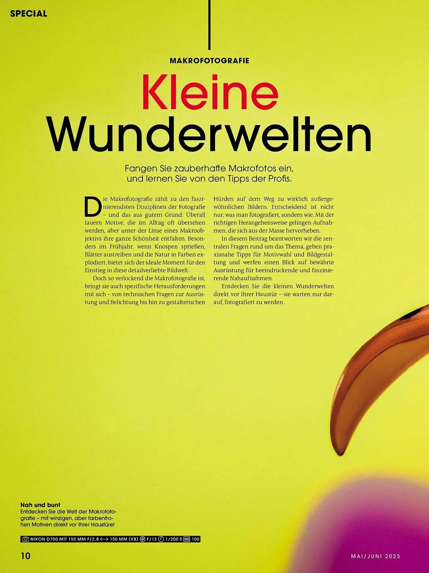 Ringfoto Prospekt von 22. Mai bis 30. Juni 2025 - Prospekt seite 10