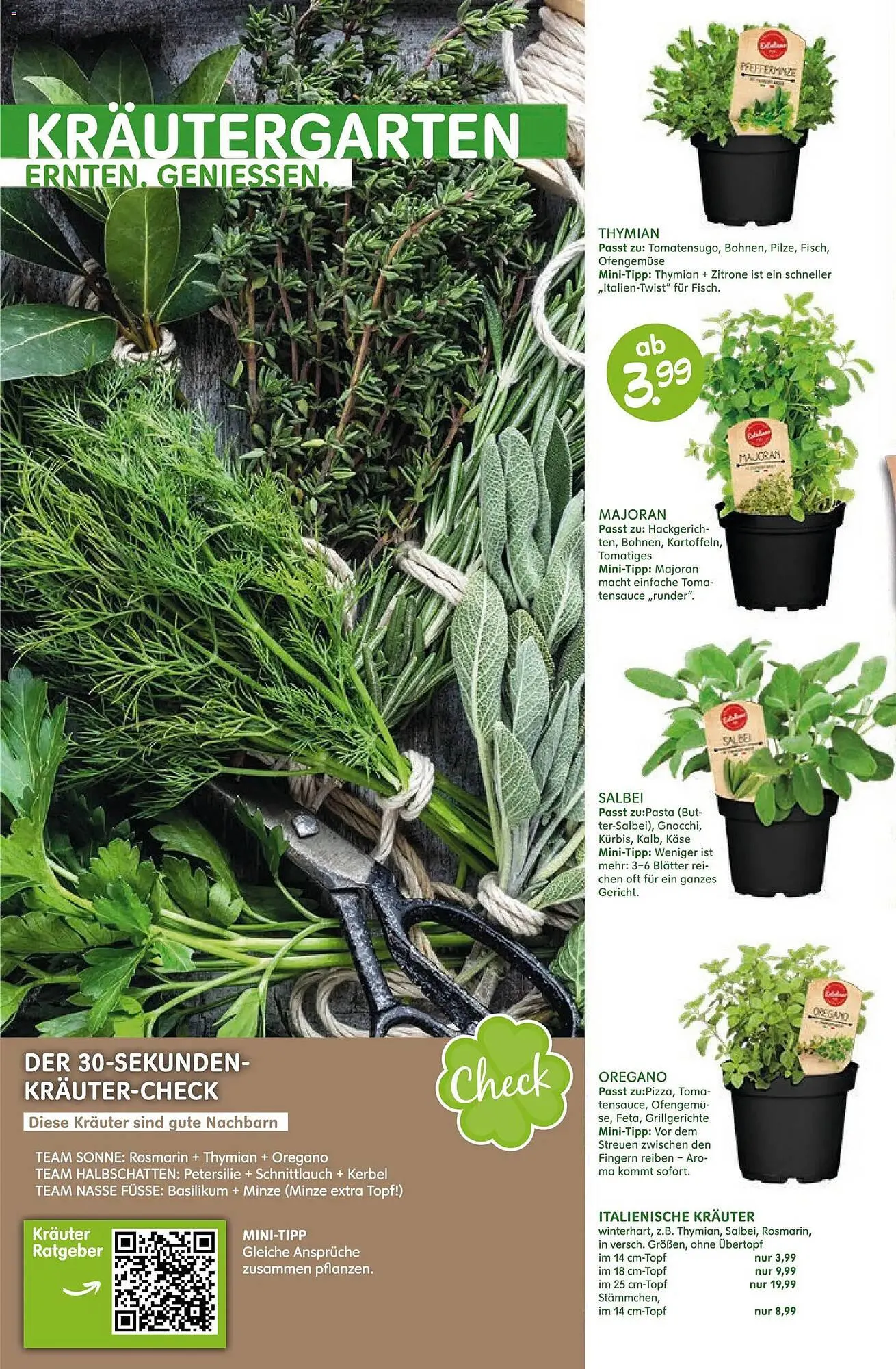 Blumen Risse Prospekt von 12. März bis 22. März 2026 - Prospekt seite 2