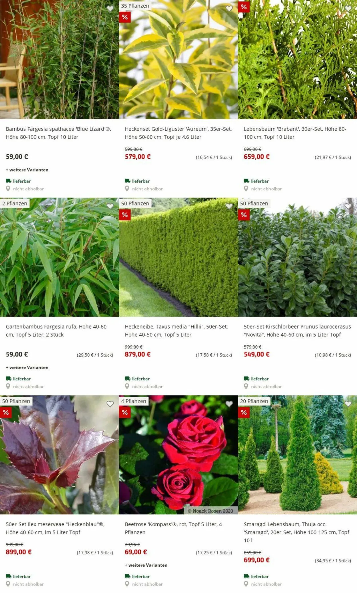 Pflanzen-Kölle Aktueller Prospekt von 30. Juni bis 9. Juli 2025 - Prospekt seite 5