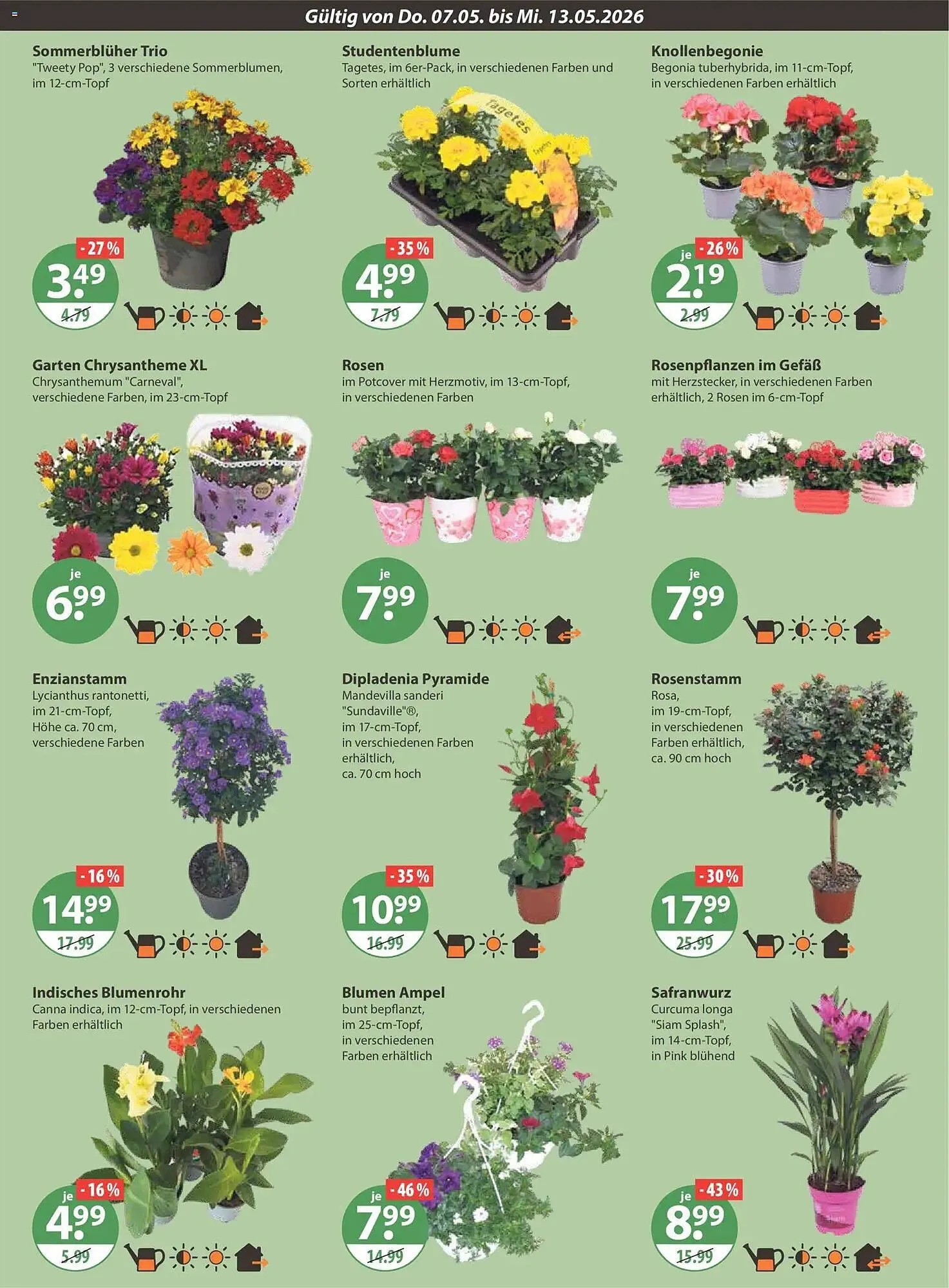 V Markt Prospekt von 7. Mai bis 13. Mai 2026 - Prospekt seite 15