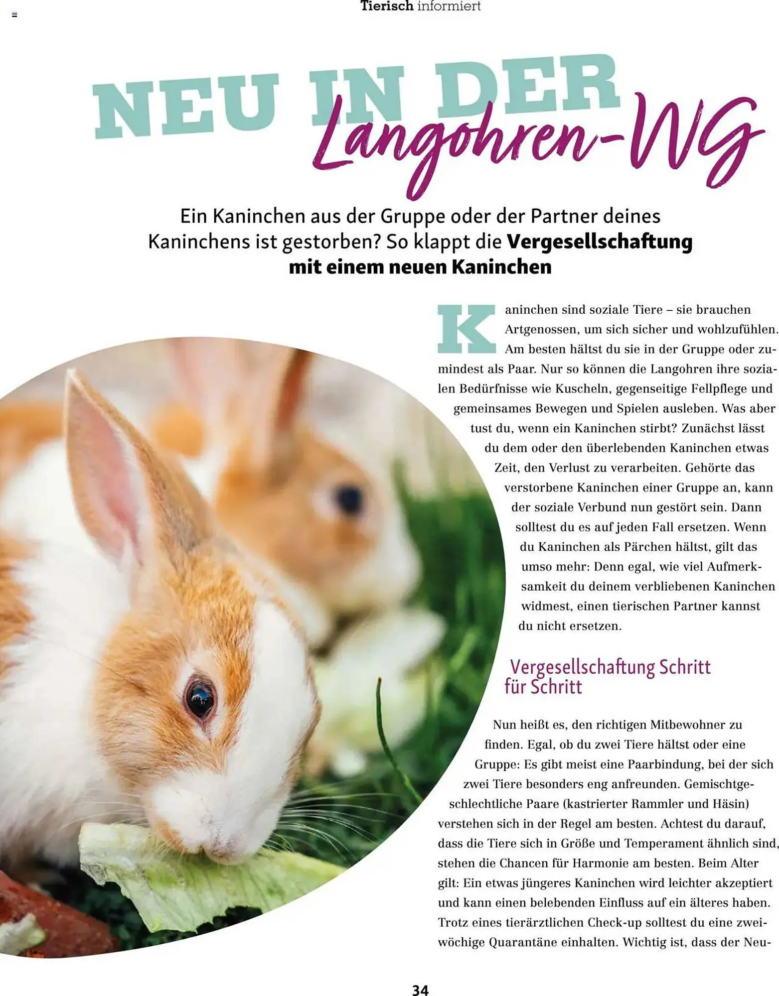 Fressnapf Prospekt von 1. März bis 30. April 2025 - Prospekt seite 34