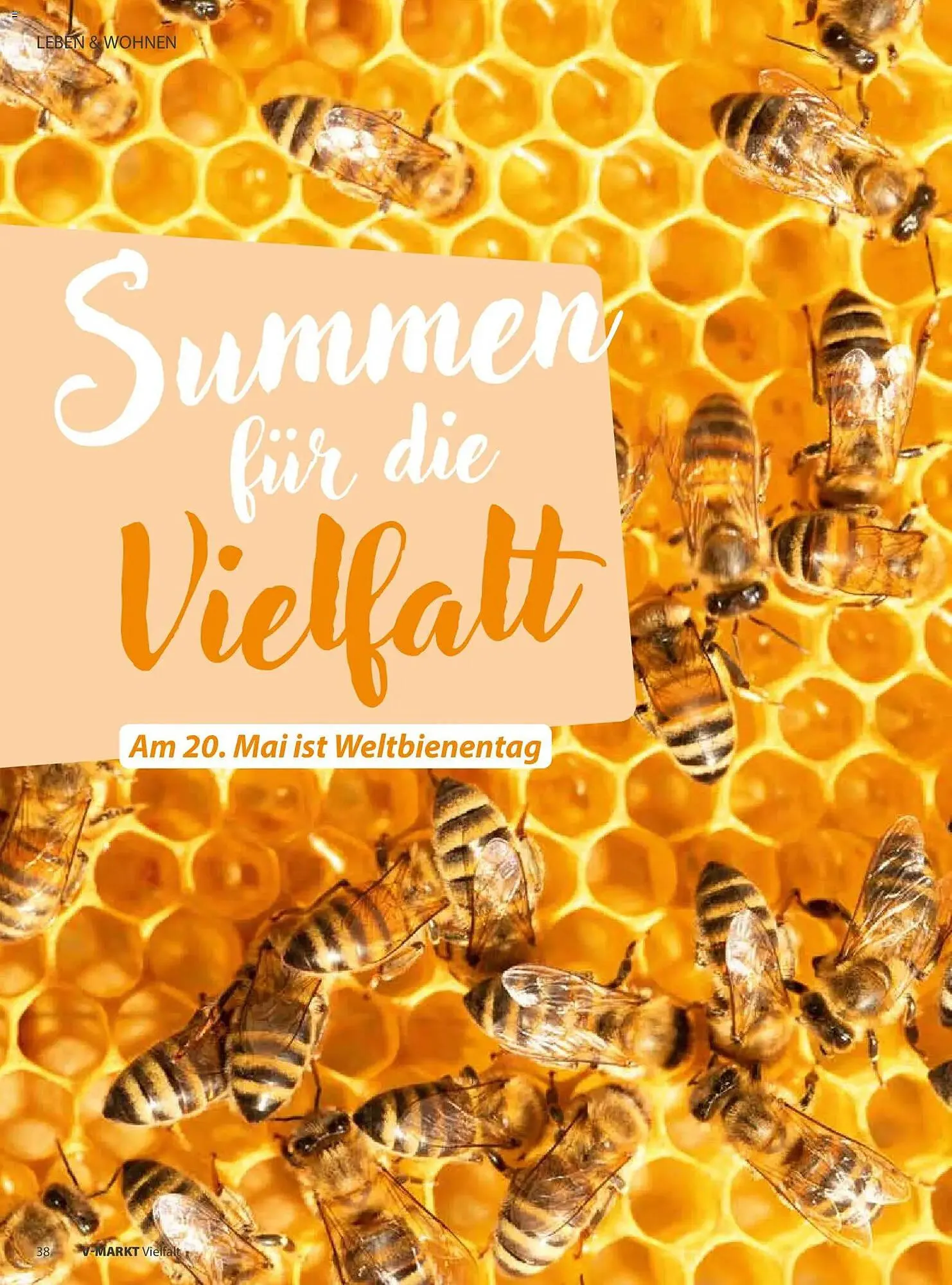 V Markt Magazin von 1. Mai bis 30. Juni 2026 - Prospekt seite 38