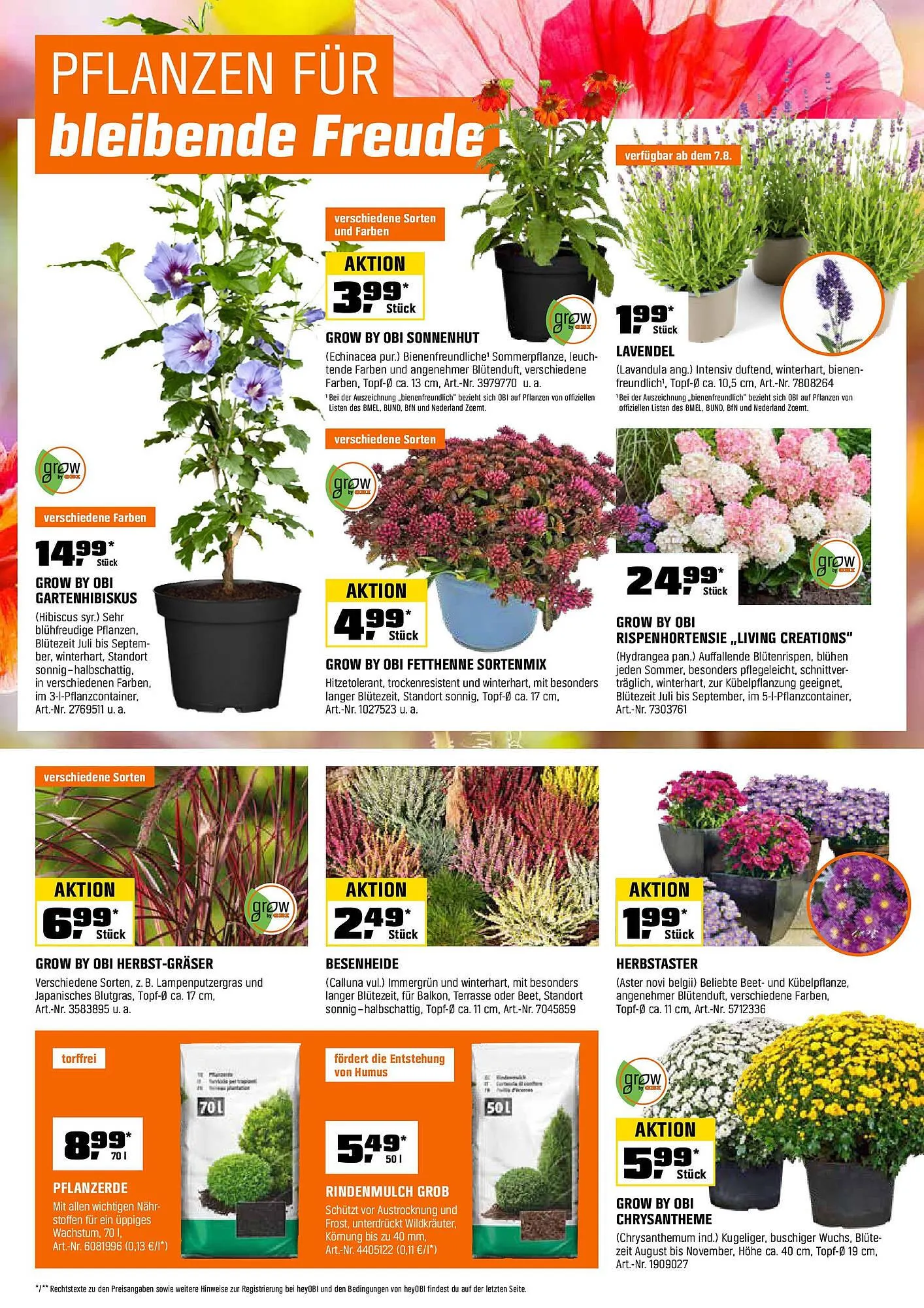 OBI Prospekt von 14. August bis 31. August 2025 - Prospekt seite 22